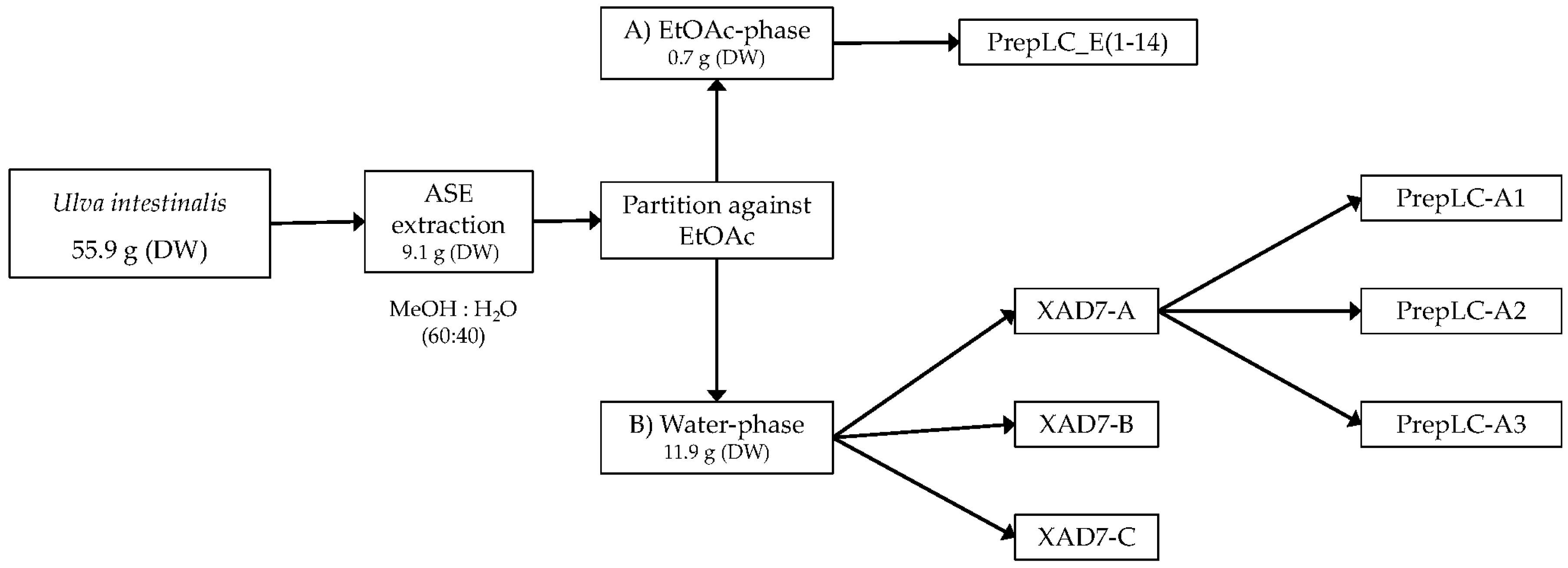 Antioxidants 08 00612 g001 Antioxidants 08 00612 g001