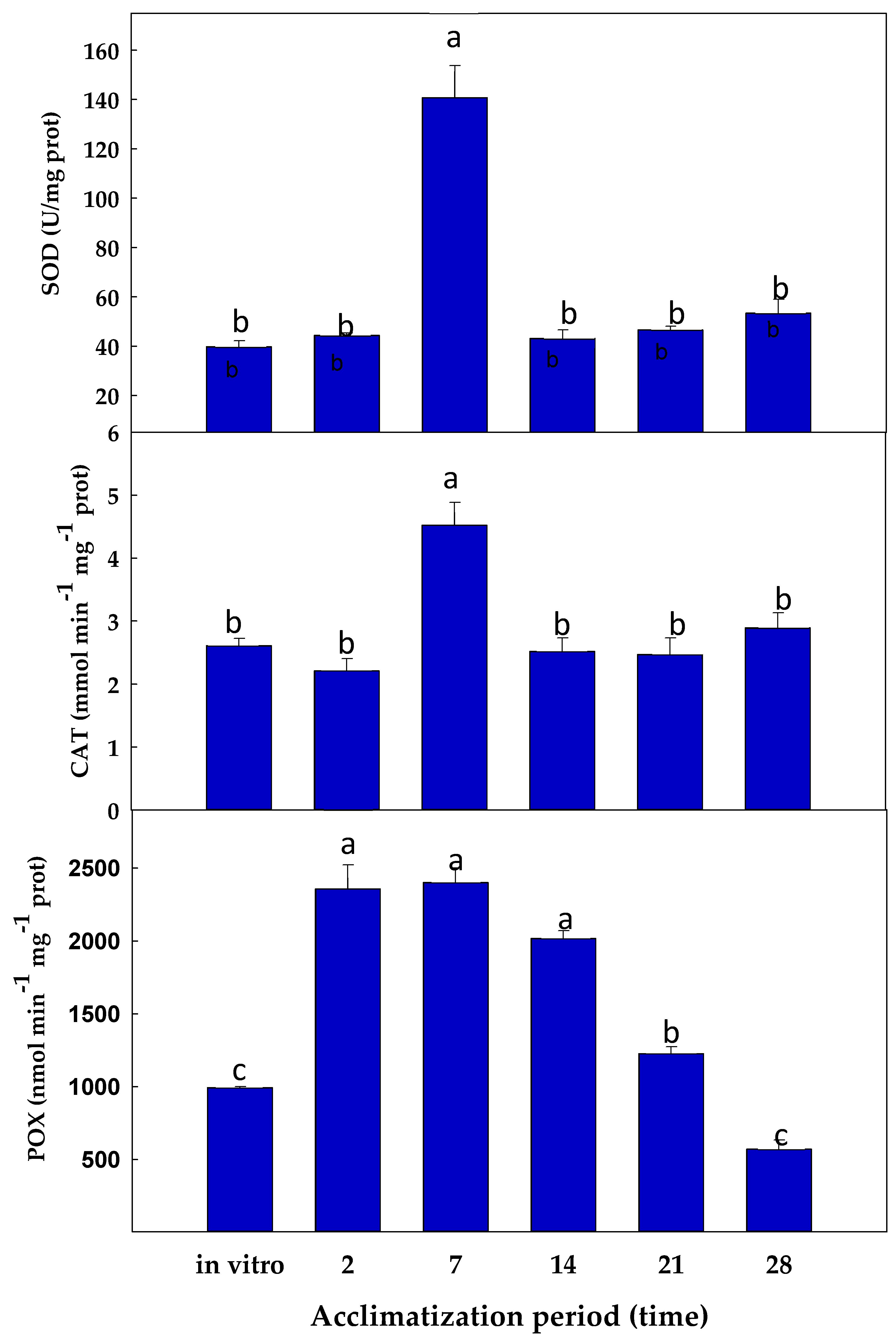 Antioxidants 08 00615 g006