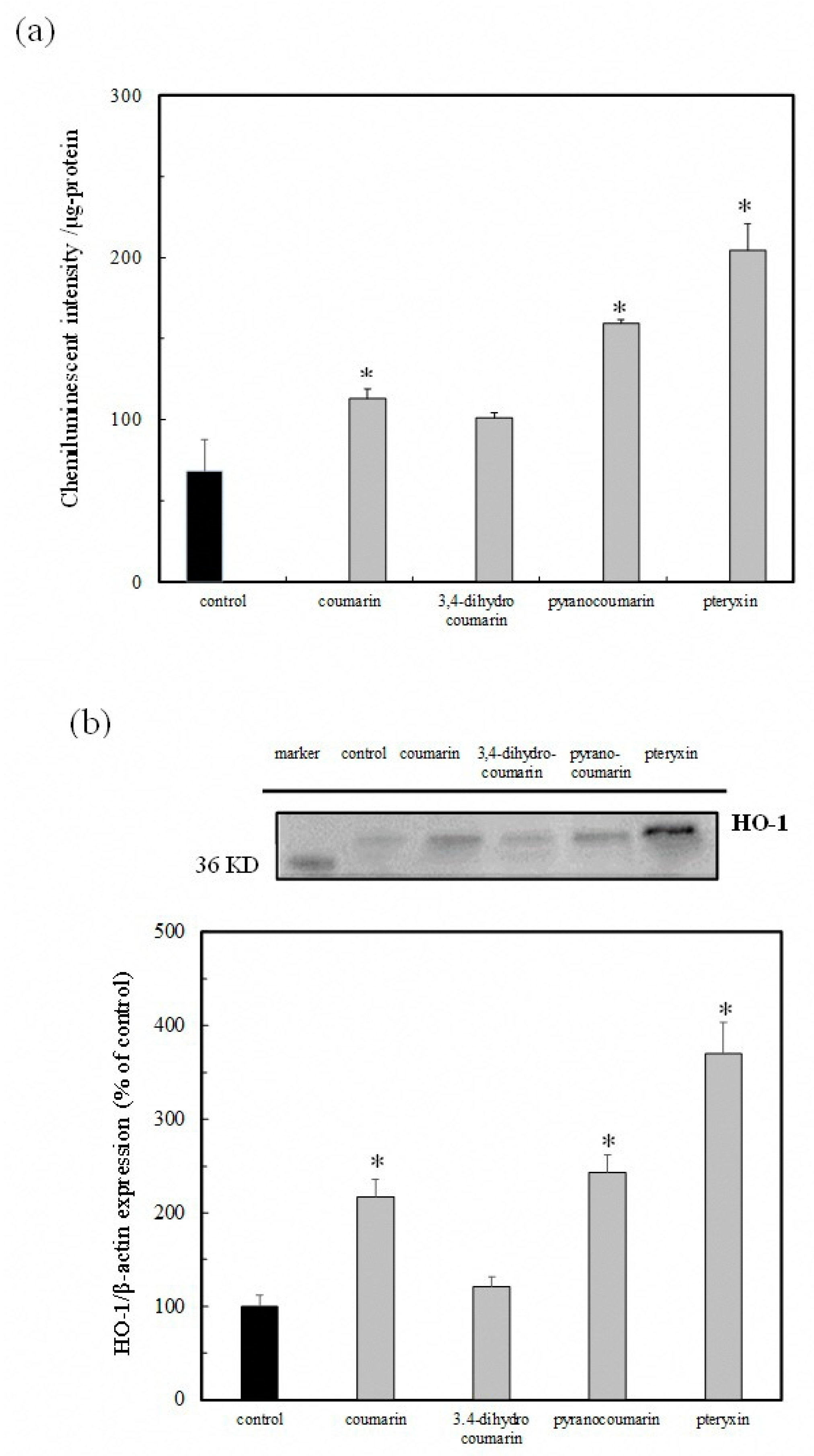Antioxidants 08 00621 g006