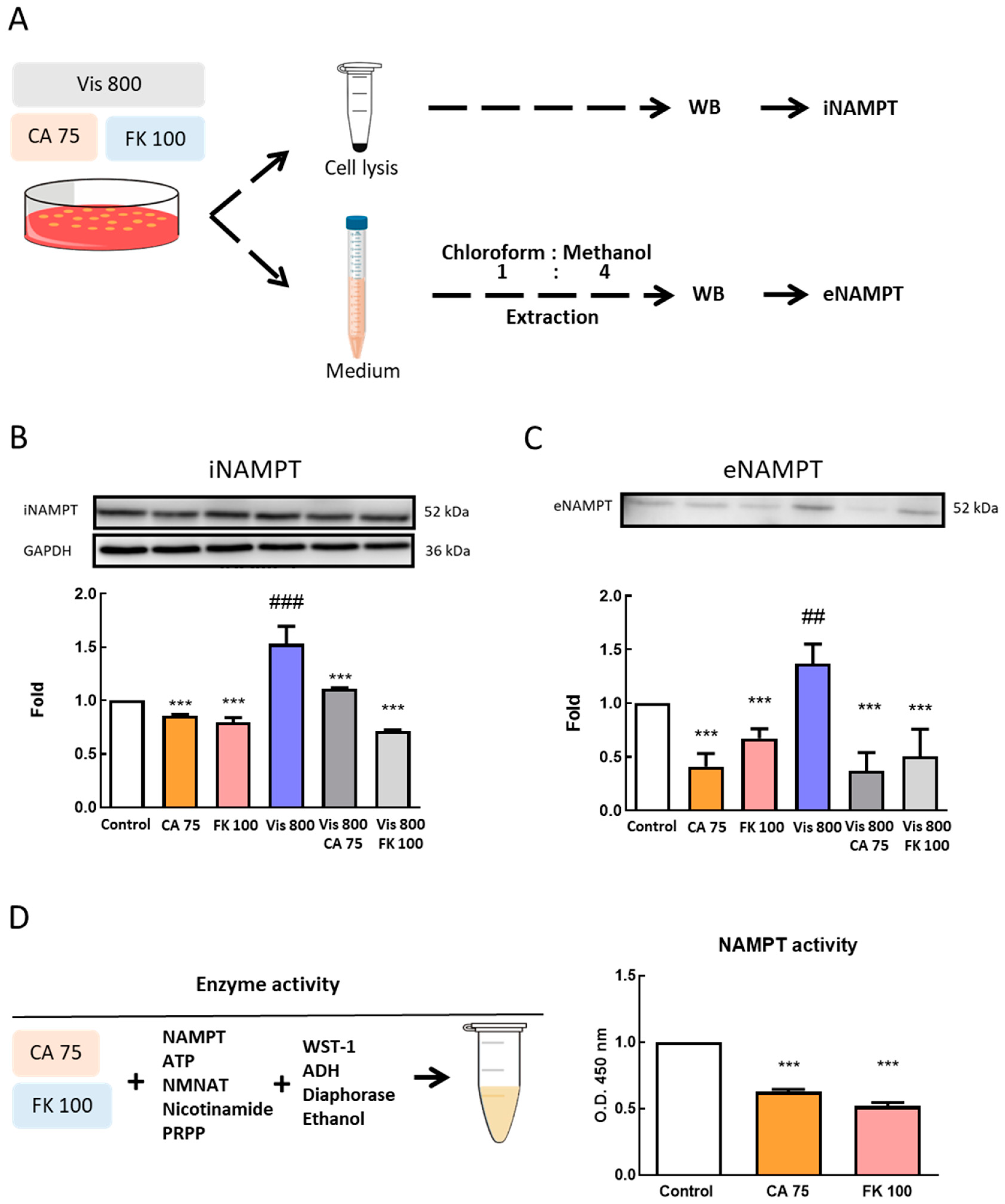 Antioxidants 08 00625 g005
