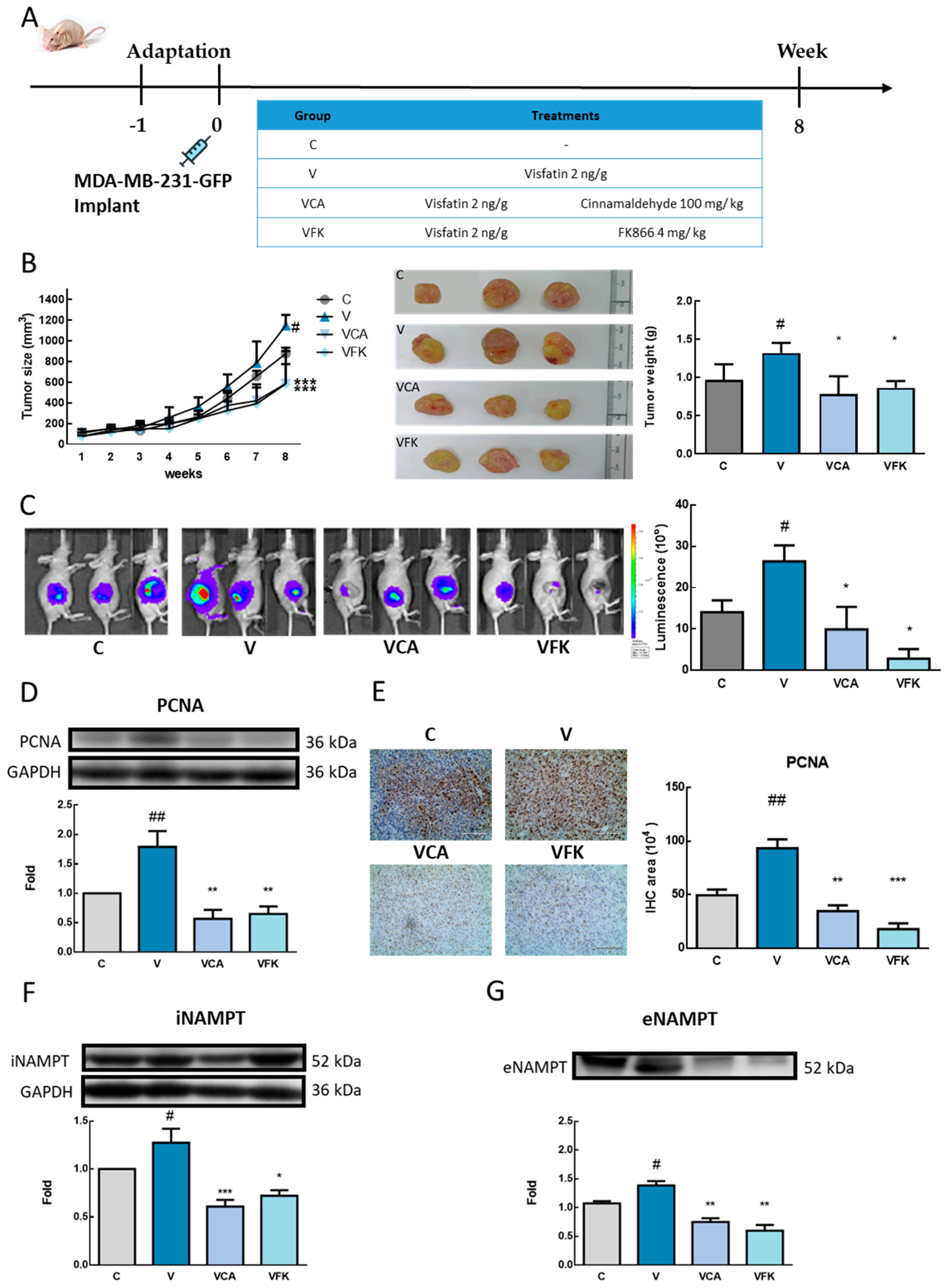 Antioxidants 08 00625 g006