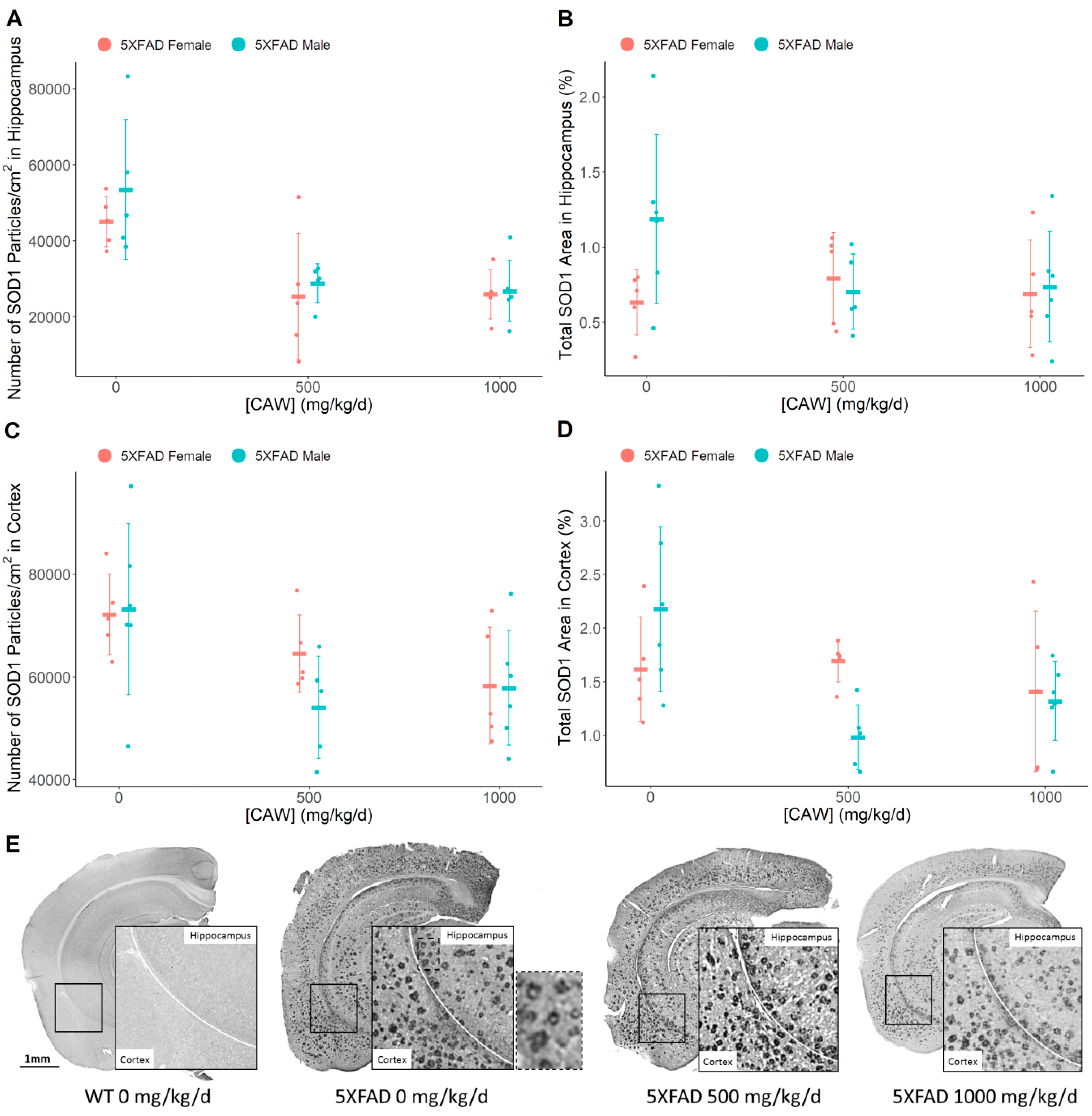 Antioxidants 08 00630 g006 Antioxidants 08 00630 g006
