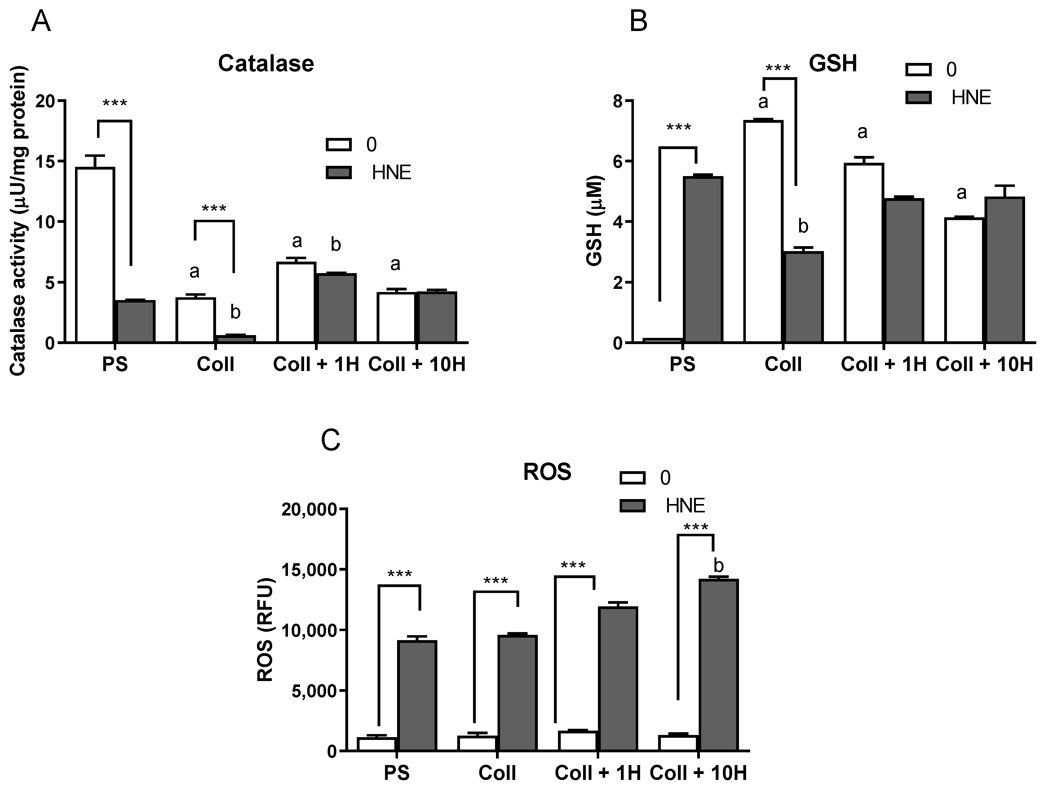 Antioxidants 08 00633 g005