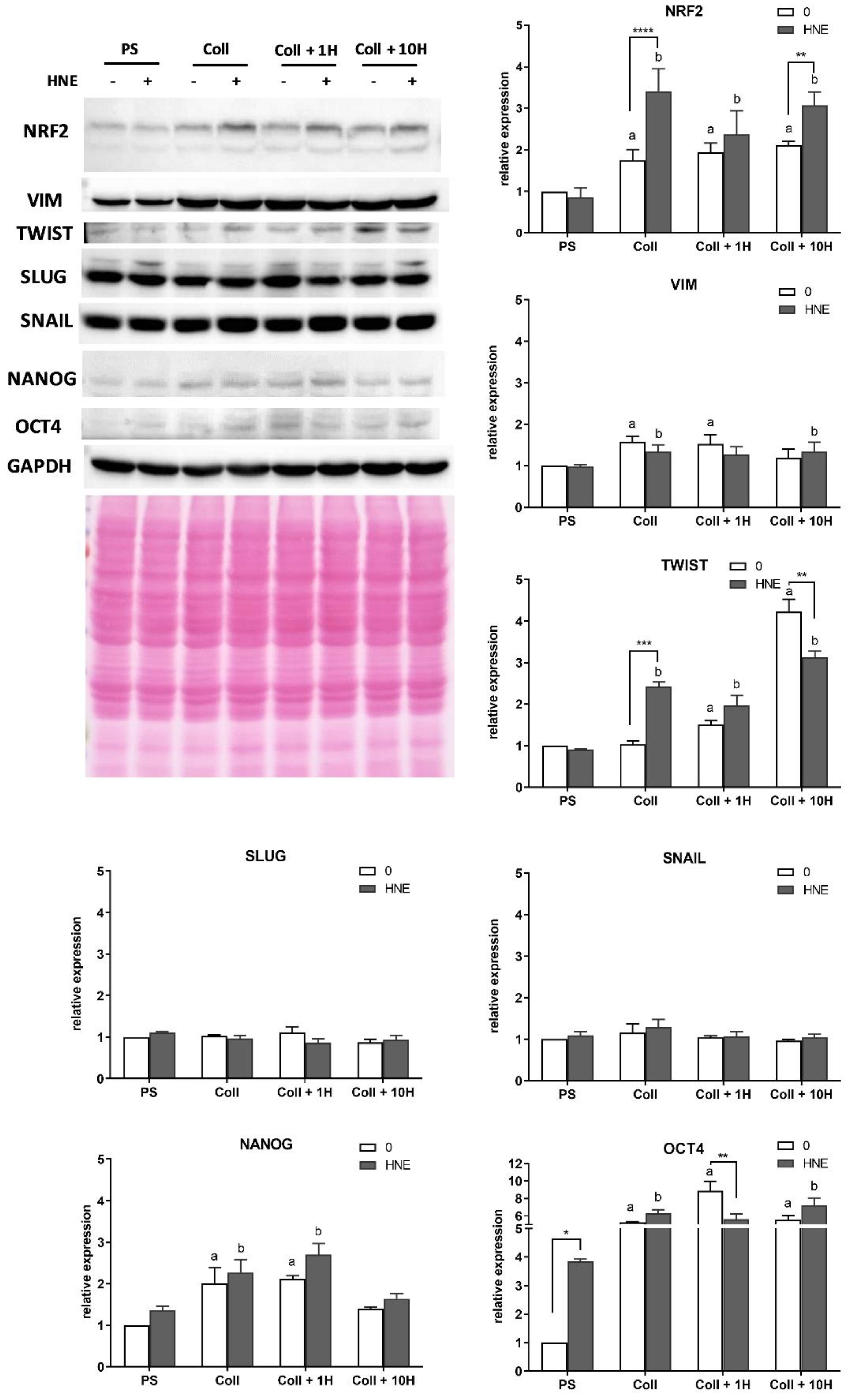 Antioxidants 08 00633 g007