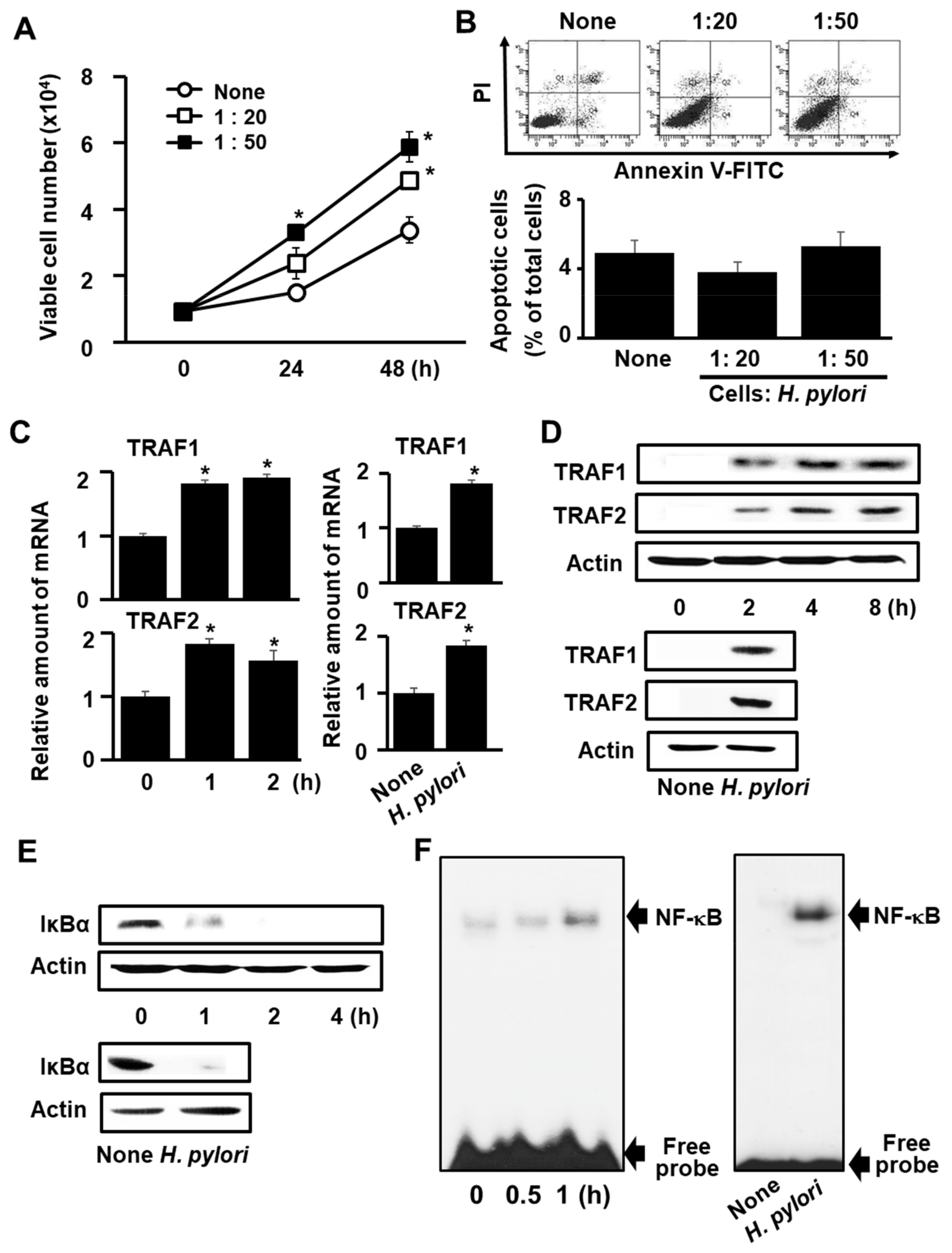 Antioxidants 08 00637 g001