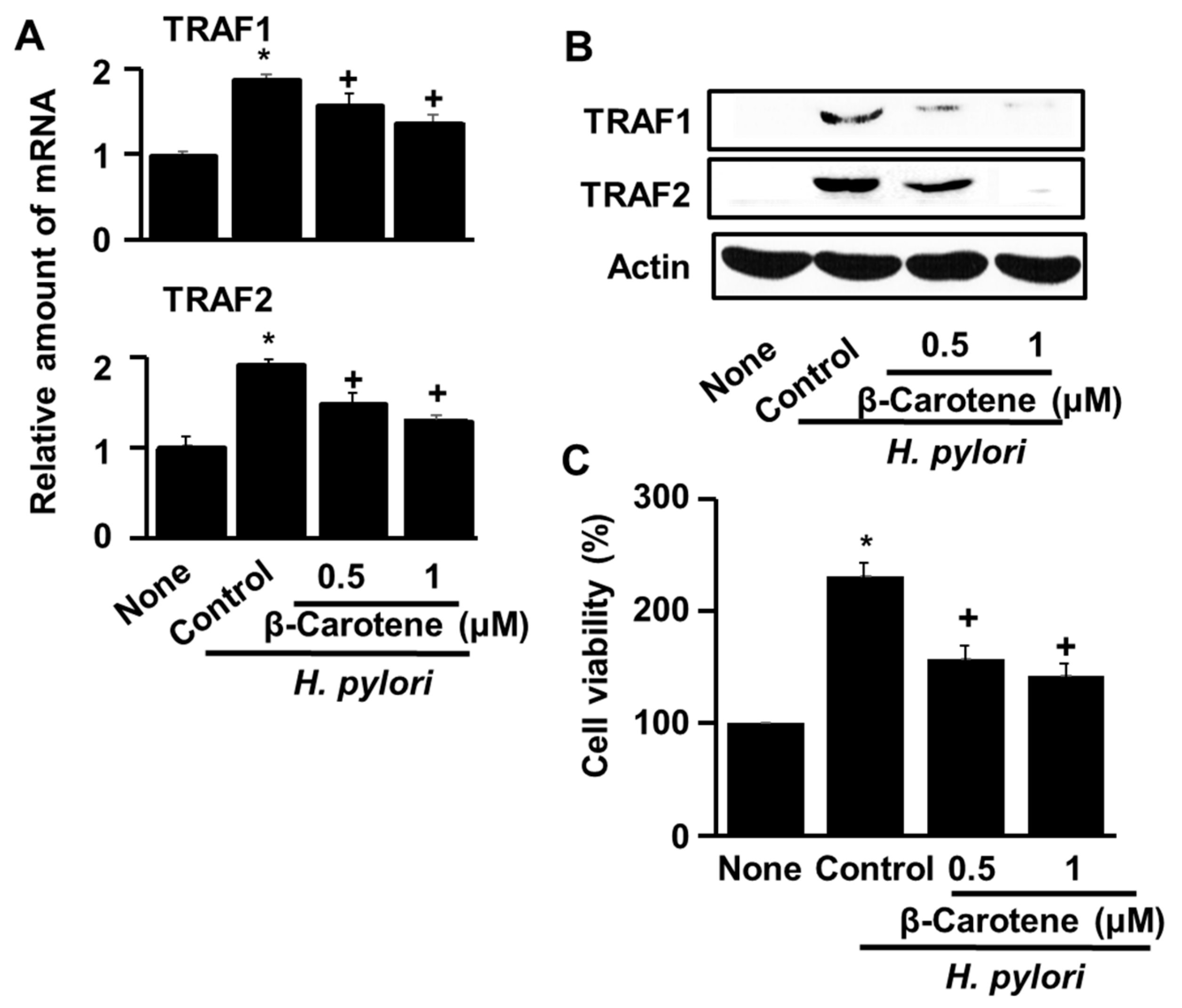 Antioxidants 08 00637 g002