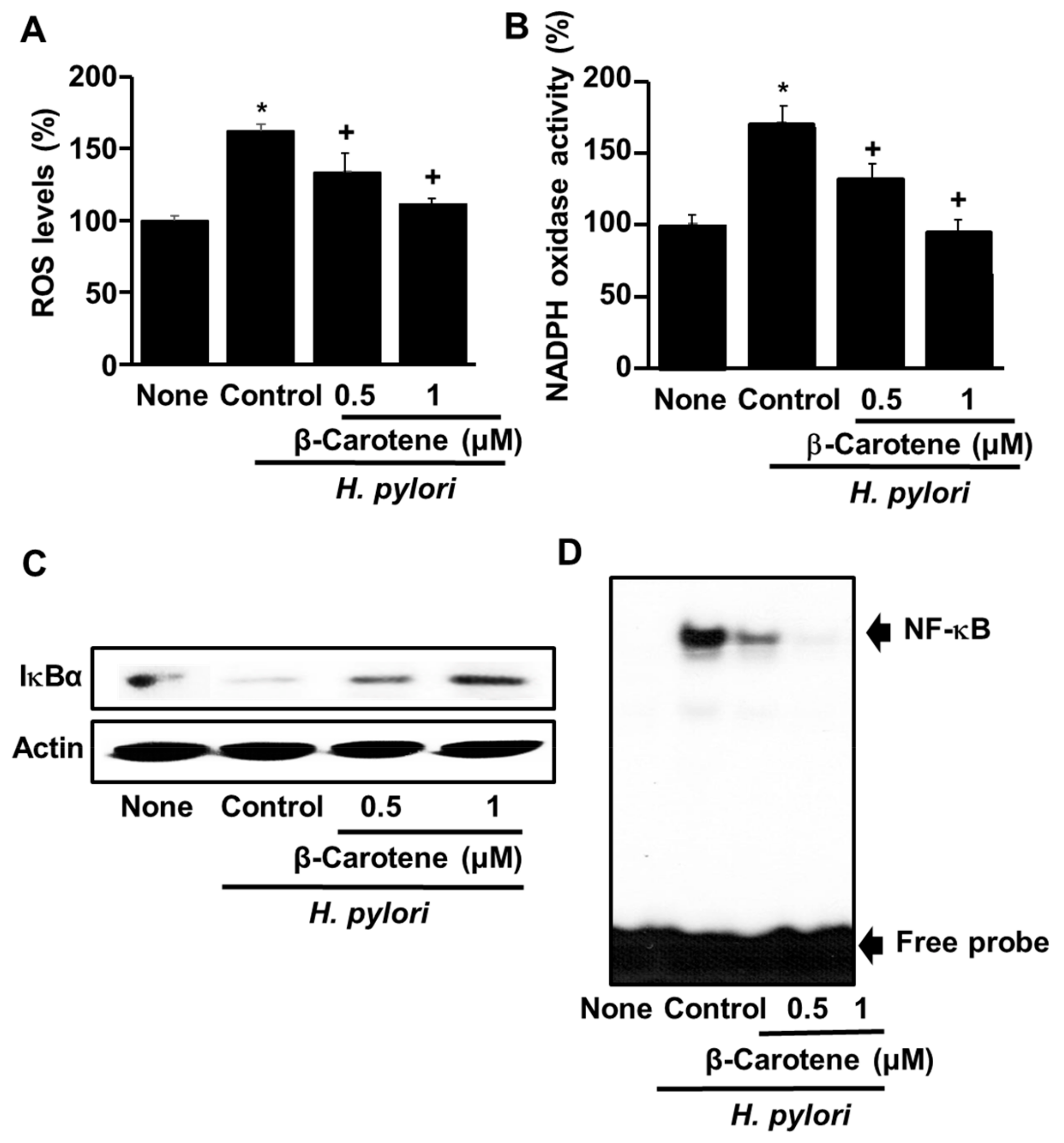Antioxidants 08 00637 g003