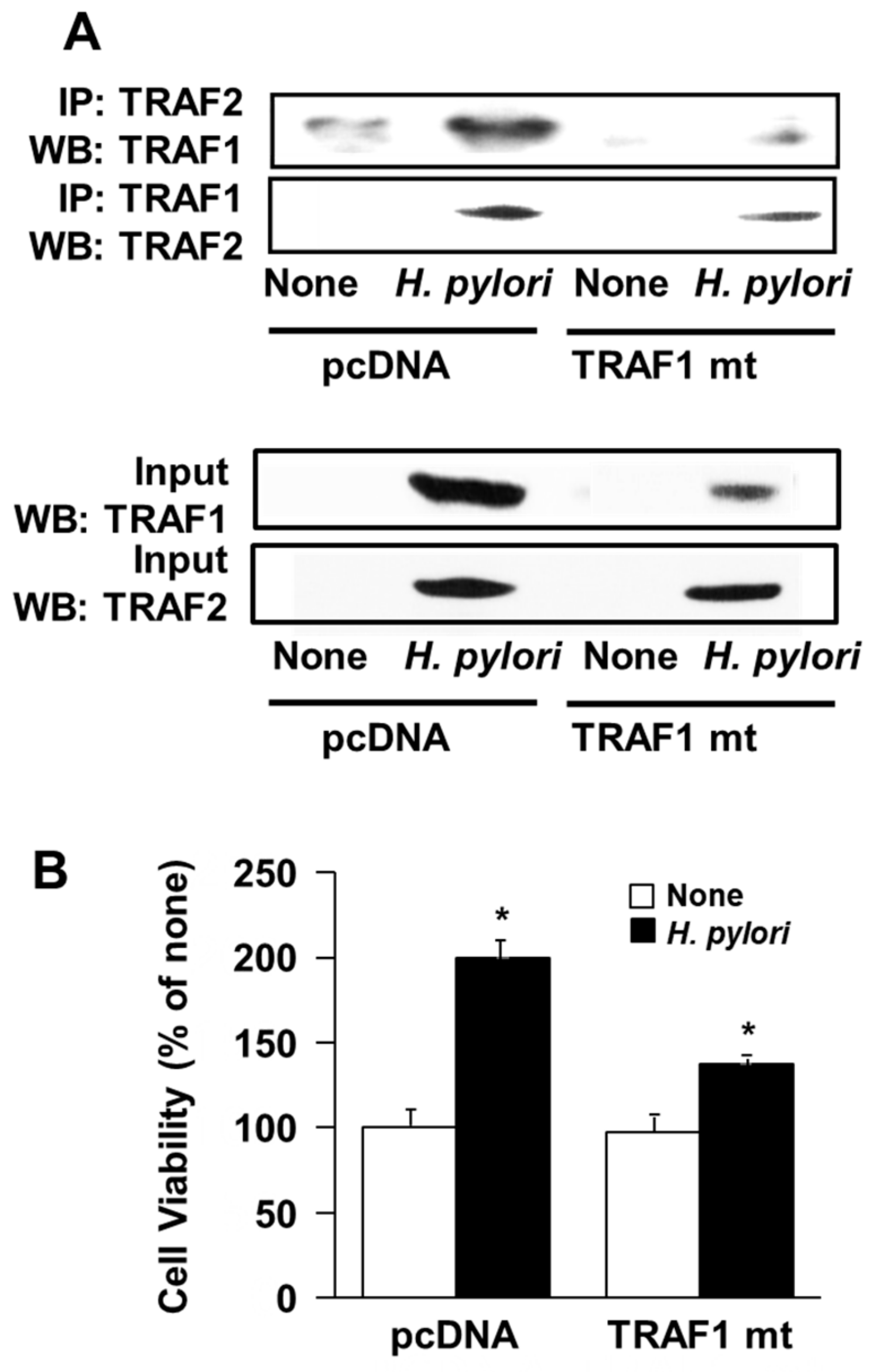 Antioxidants 08 00637 g005