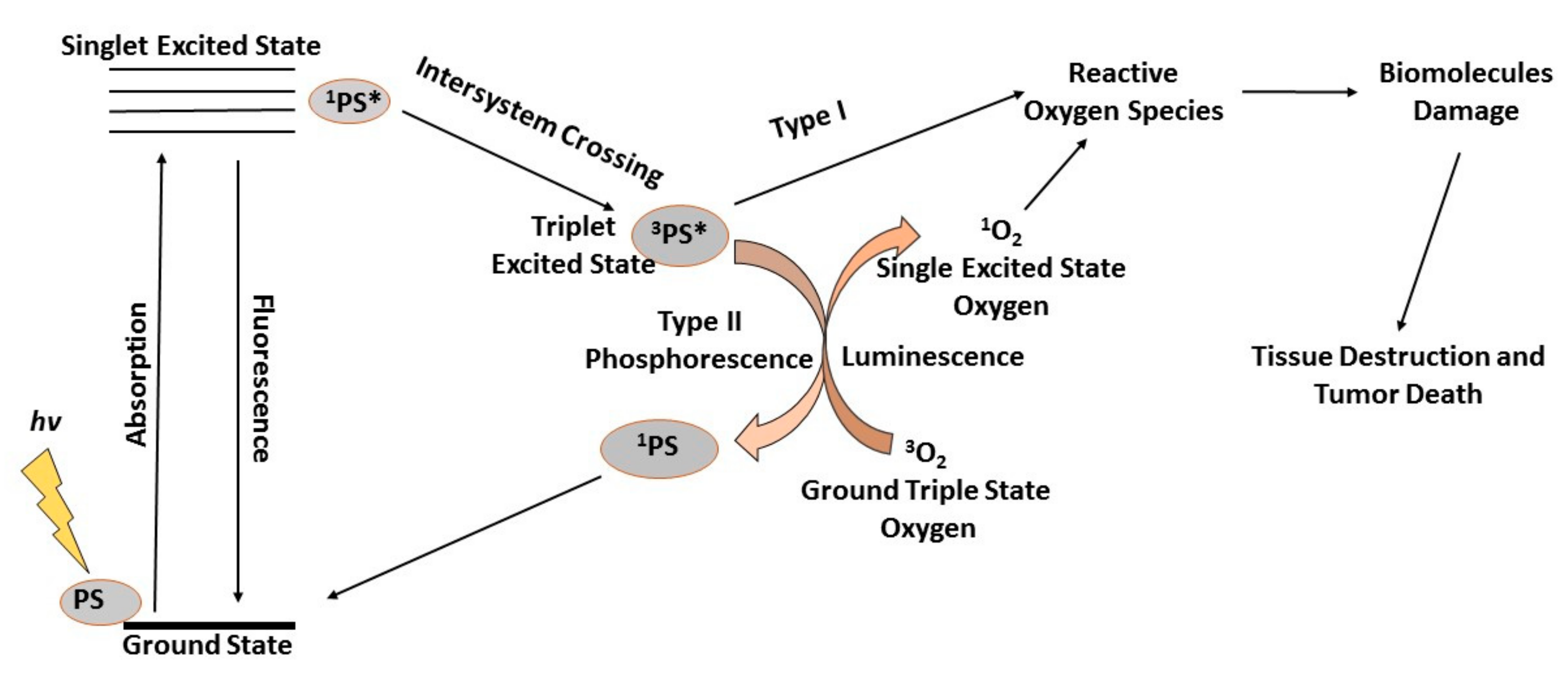Antioxidants 08 00640 g002 Antioxidants 08 00640 g002