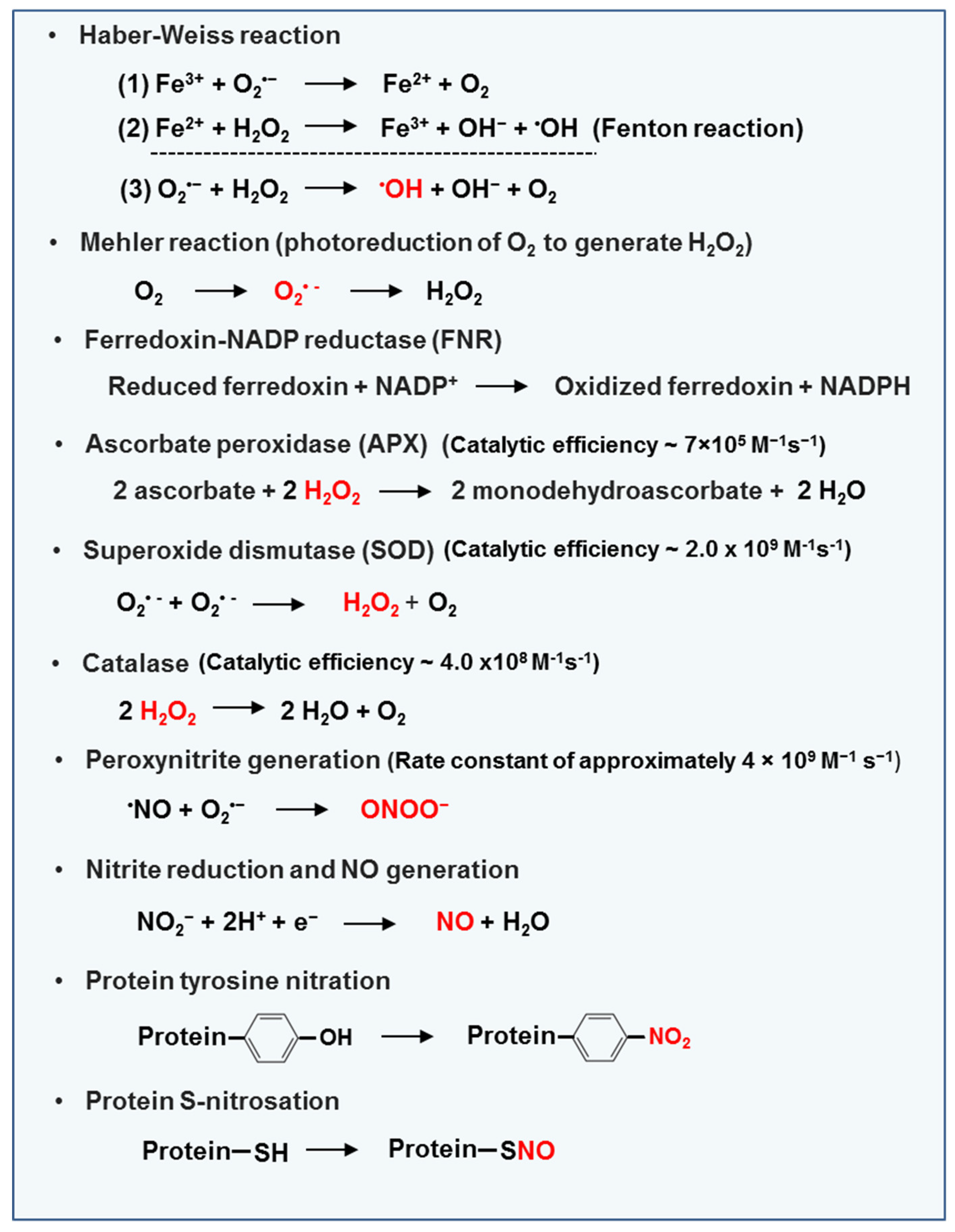 Antioxidants 08 00641 g002