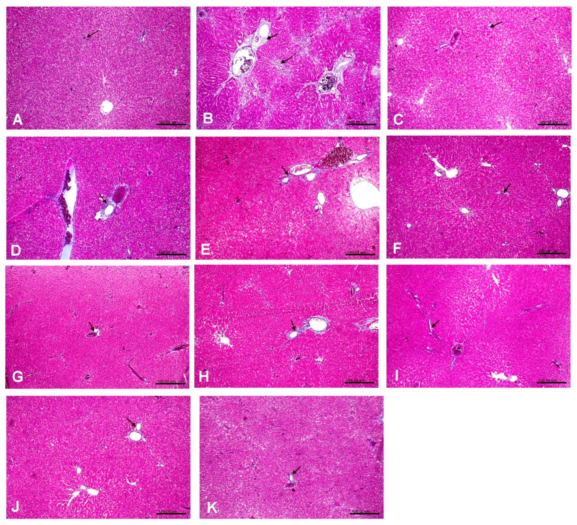 Antioxidants 08 00646 g003
