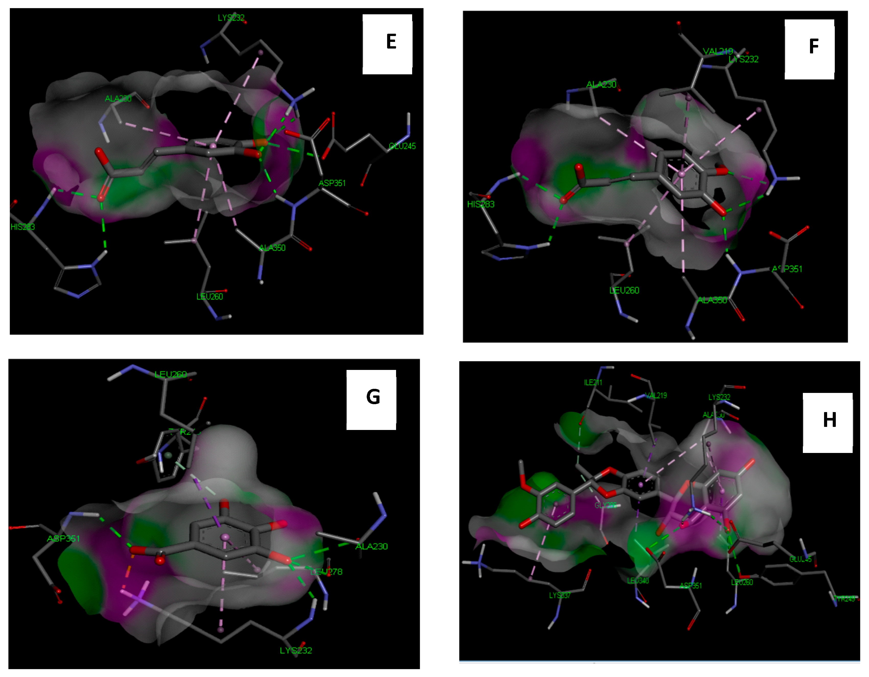 Antioxidants 08 00646 g010