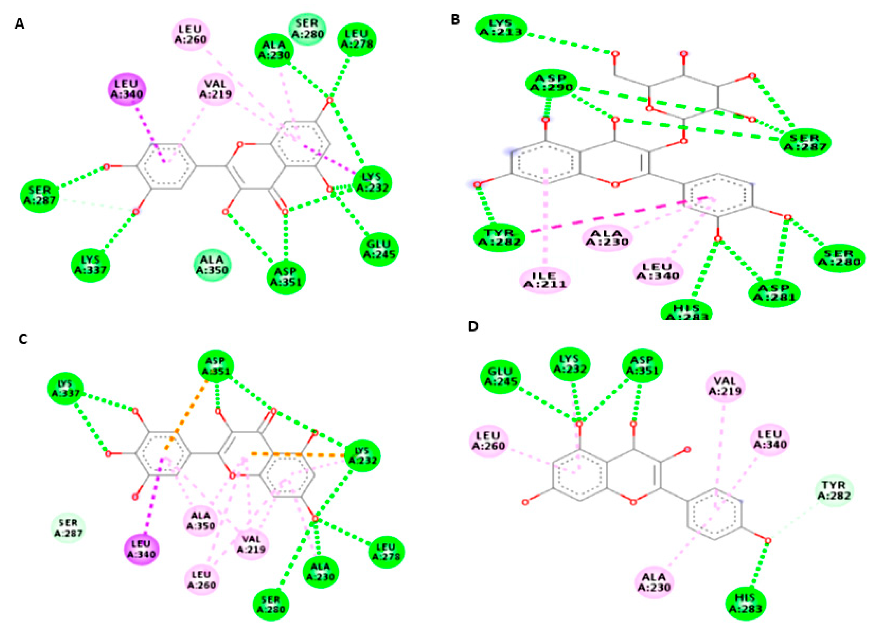 Antioxidants 08 00646 g011