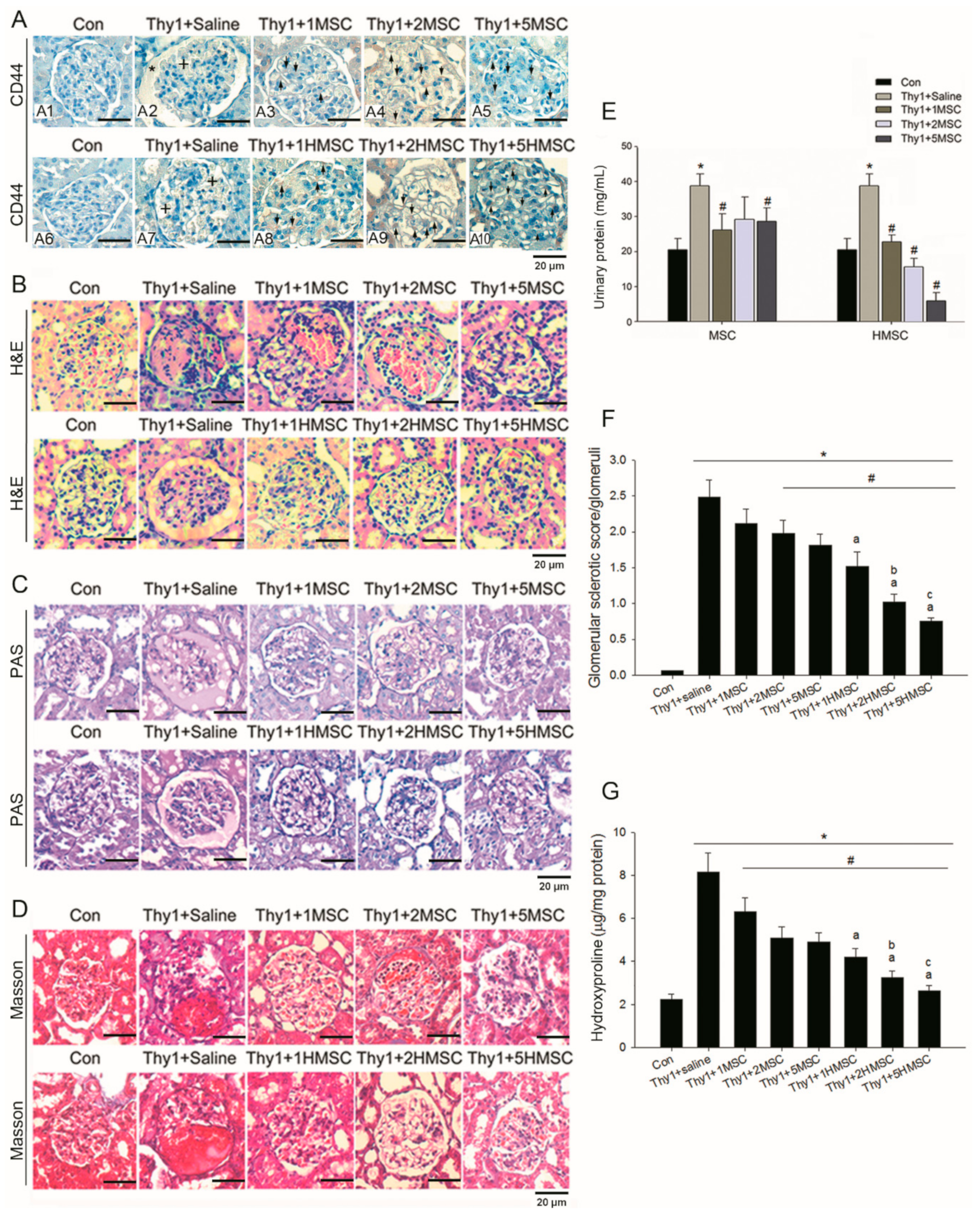 Antioxidants 09 00002 g002