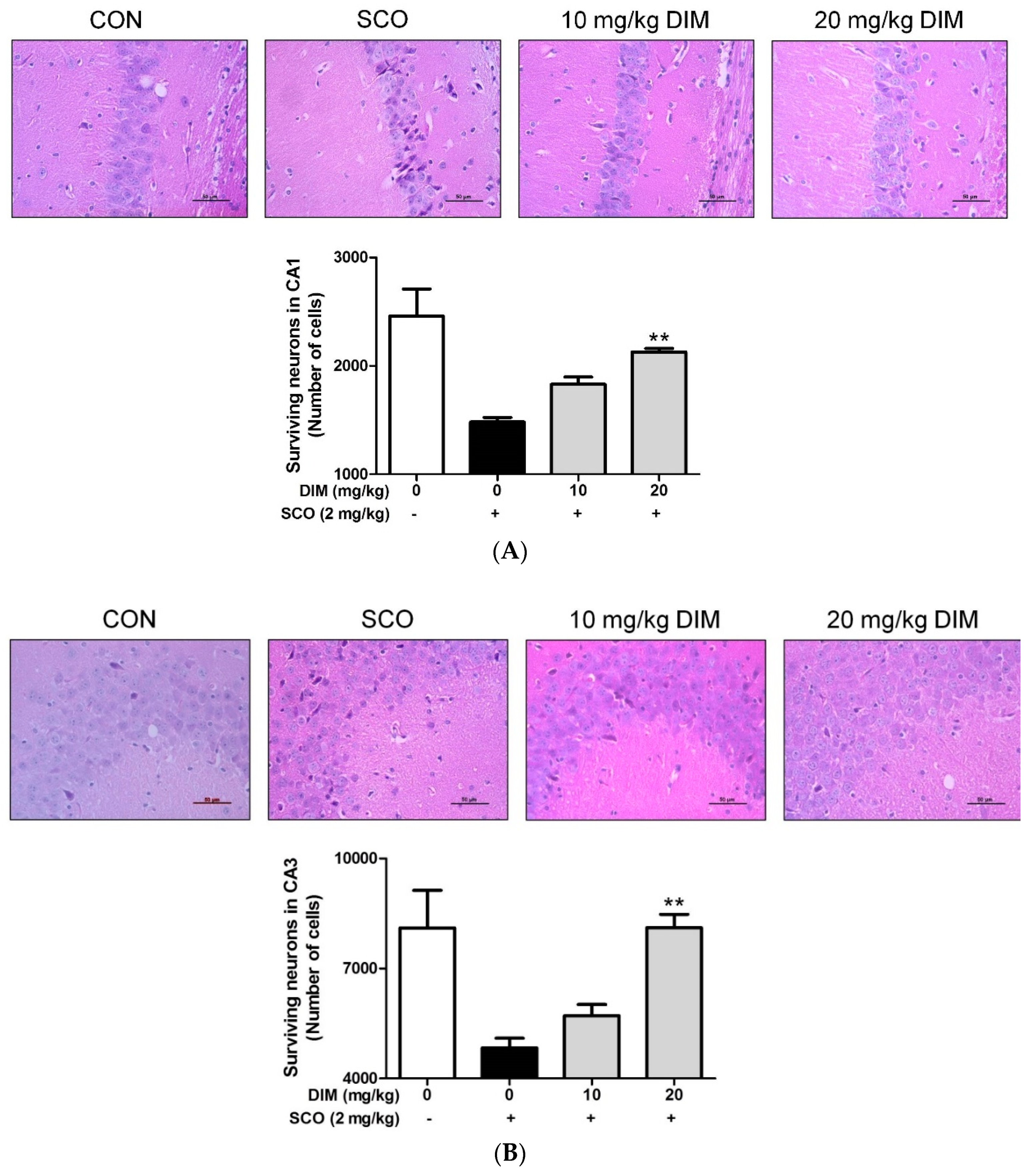 Antioxidants 09 00003 g007