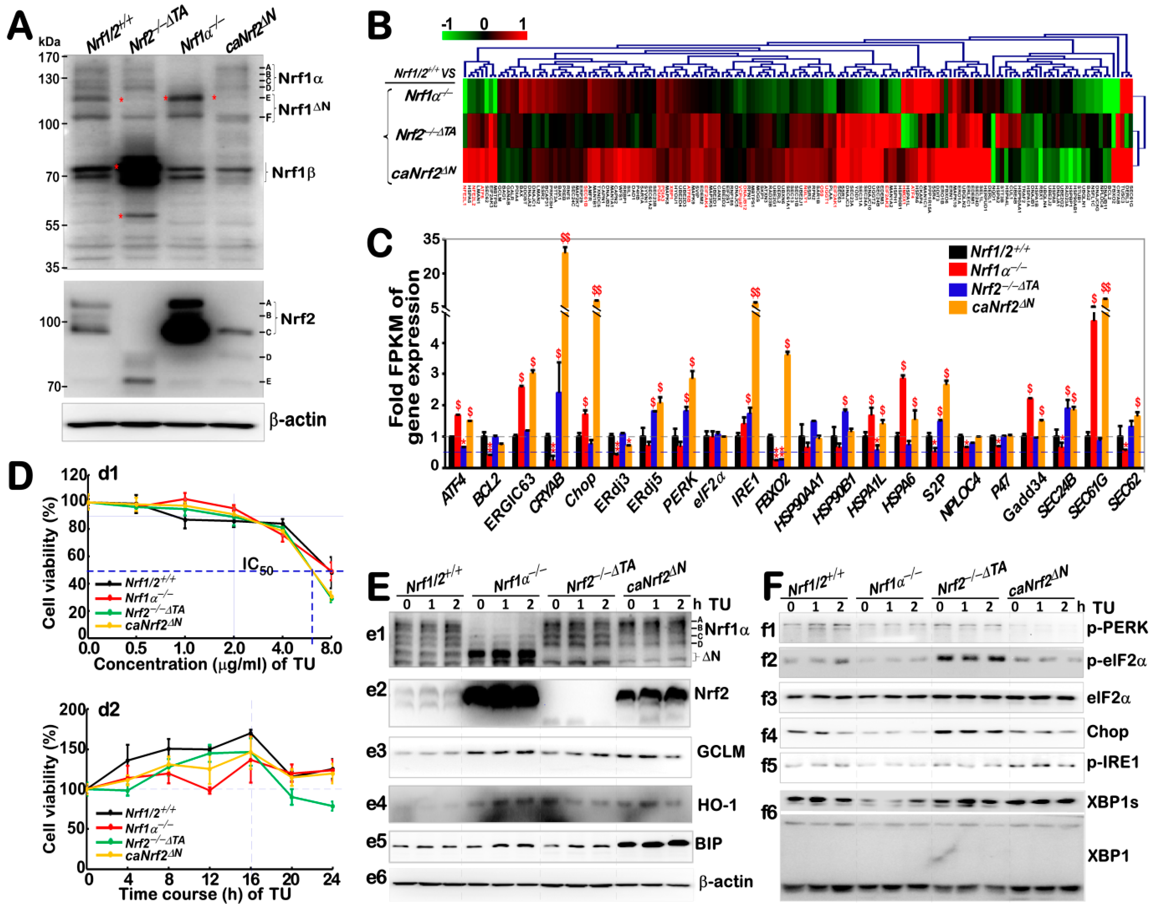 Antioxidants 09 00004 g002