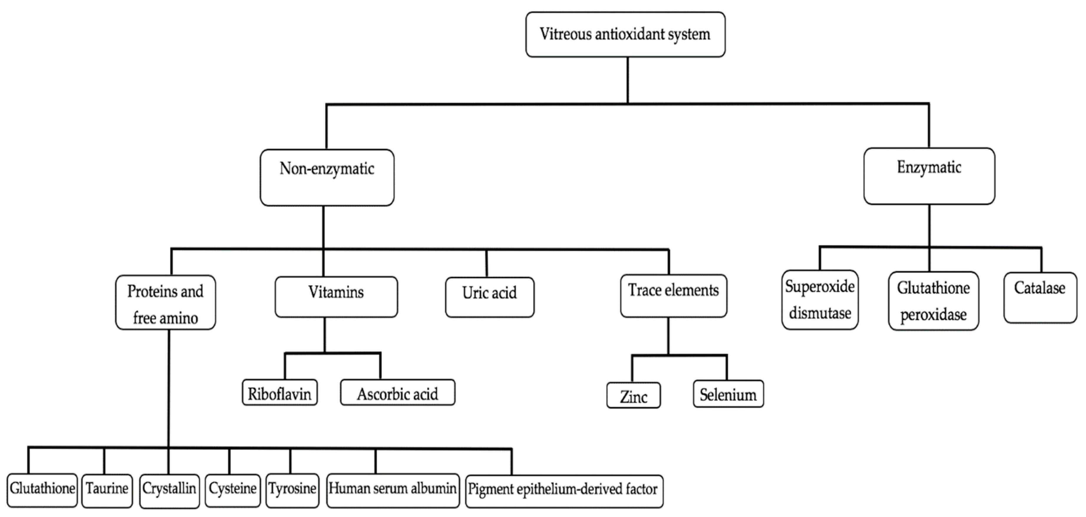 Antioxidants 09 00007 g003 Antioxidants 09 00007 g003