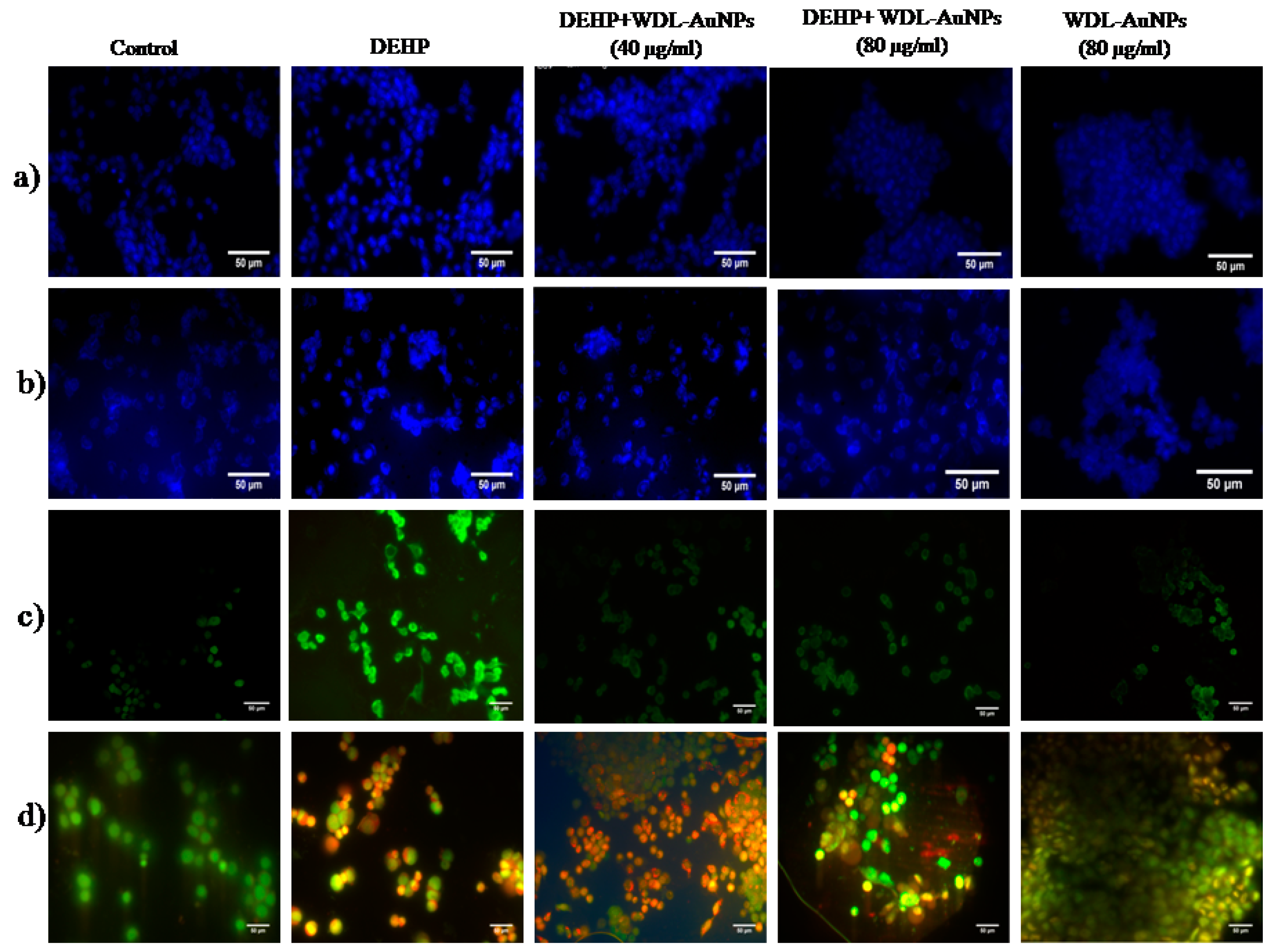 Antioxidants 09 00008 g007