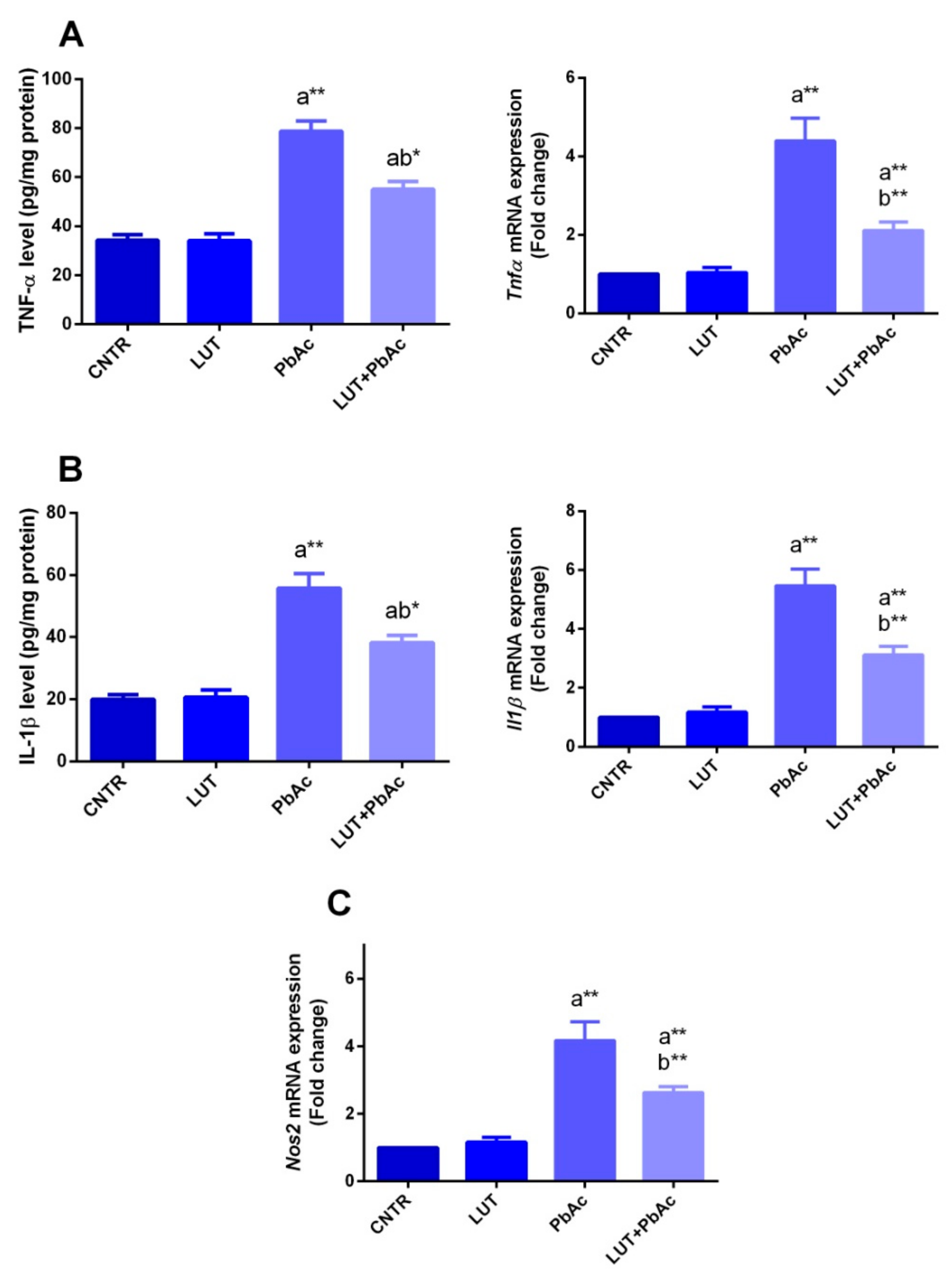 Antioxidants 09 00010 g006