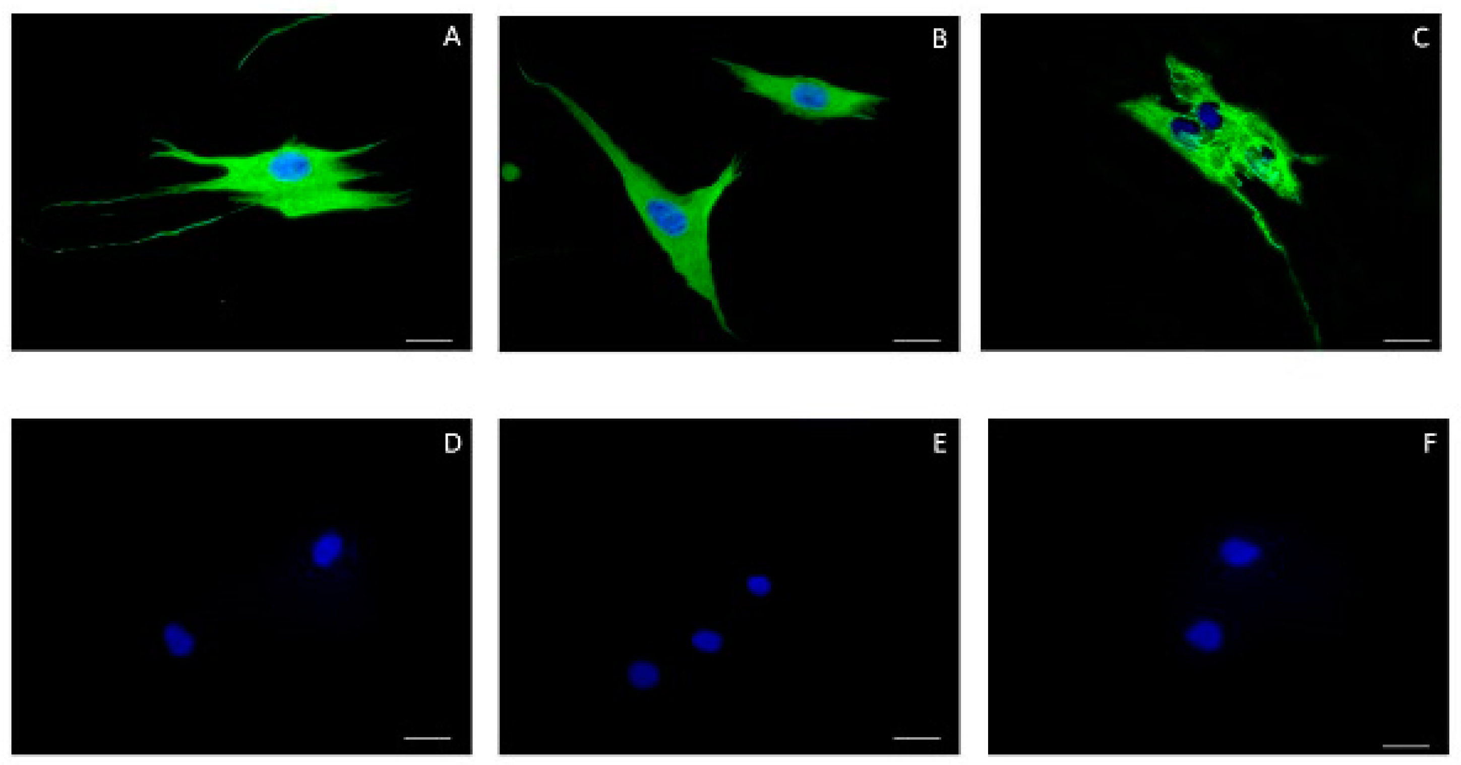Antioxidants 09 00016 g002