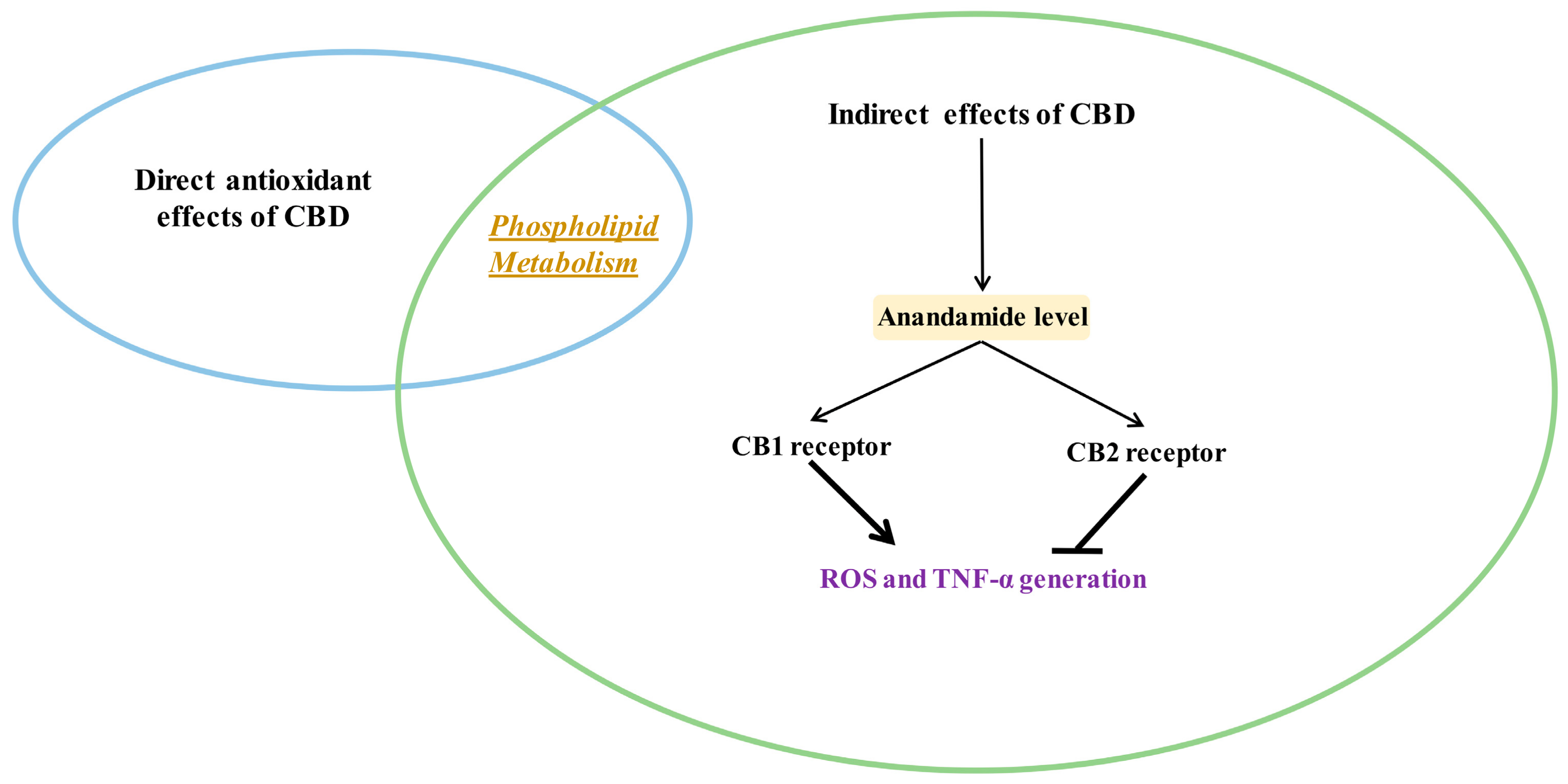 Antioxidants 09 00021 g003