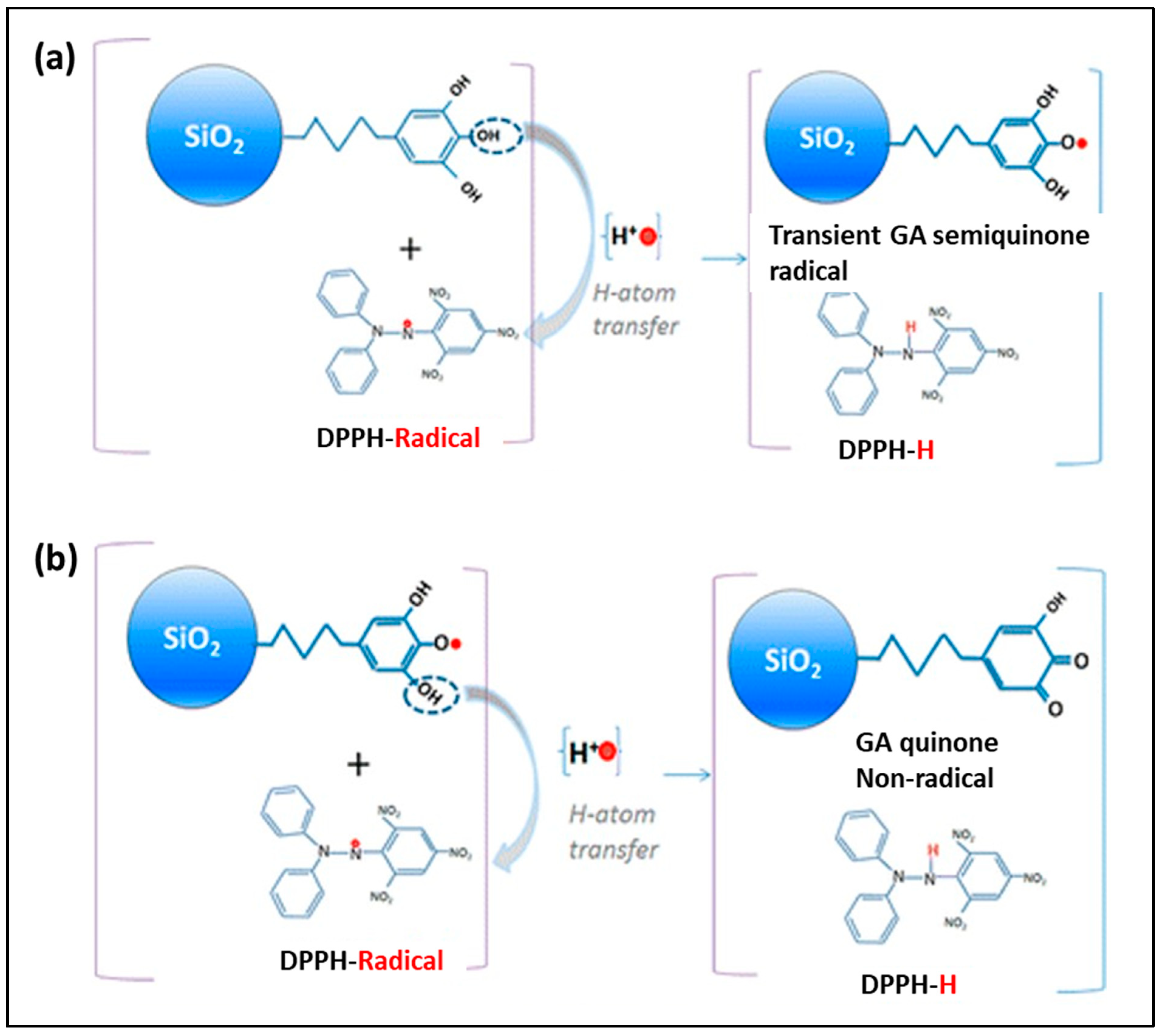 Antioxidants 09 00024 g001