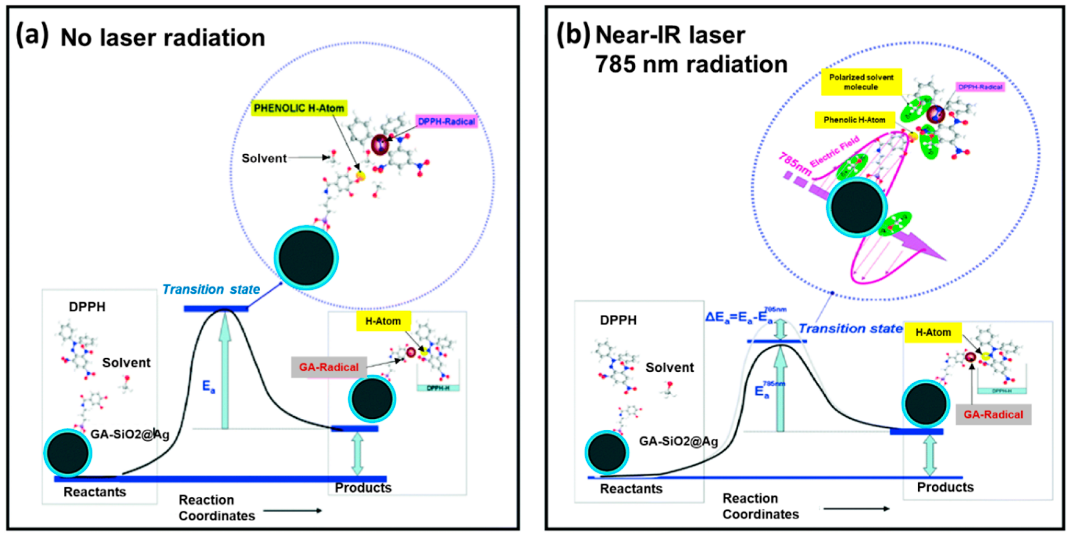 Antioxidants 09 00024 g004
