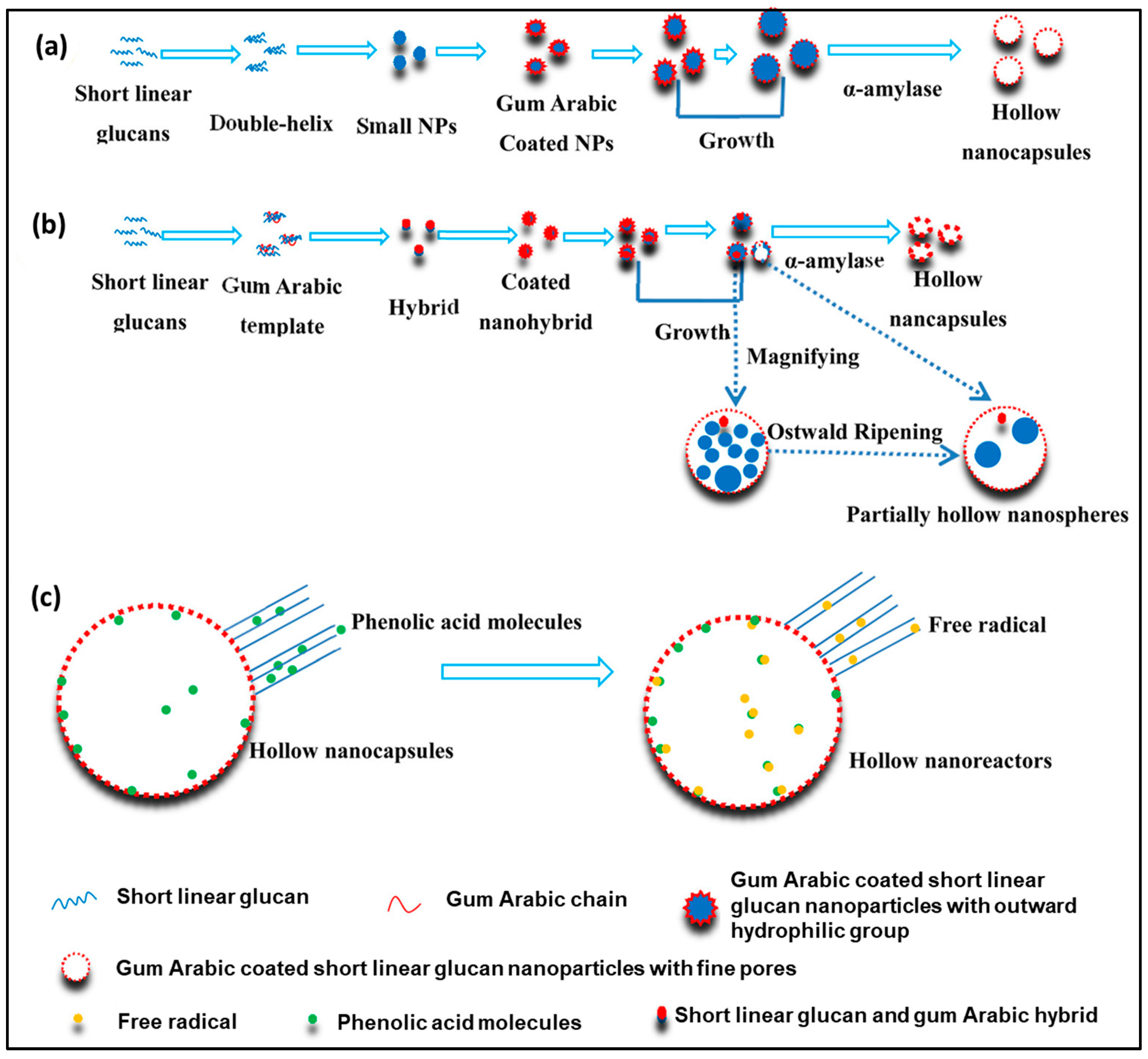 Antioxidants 09 00024 g006
