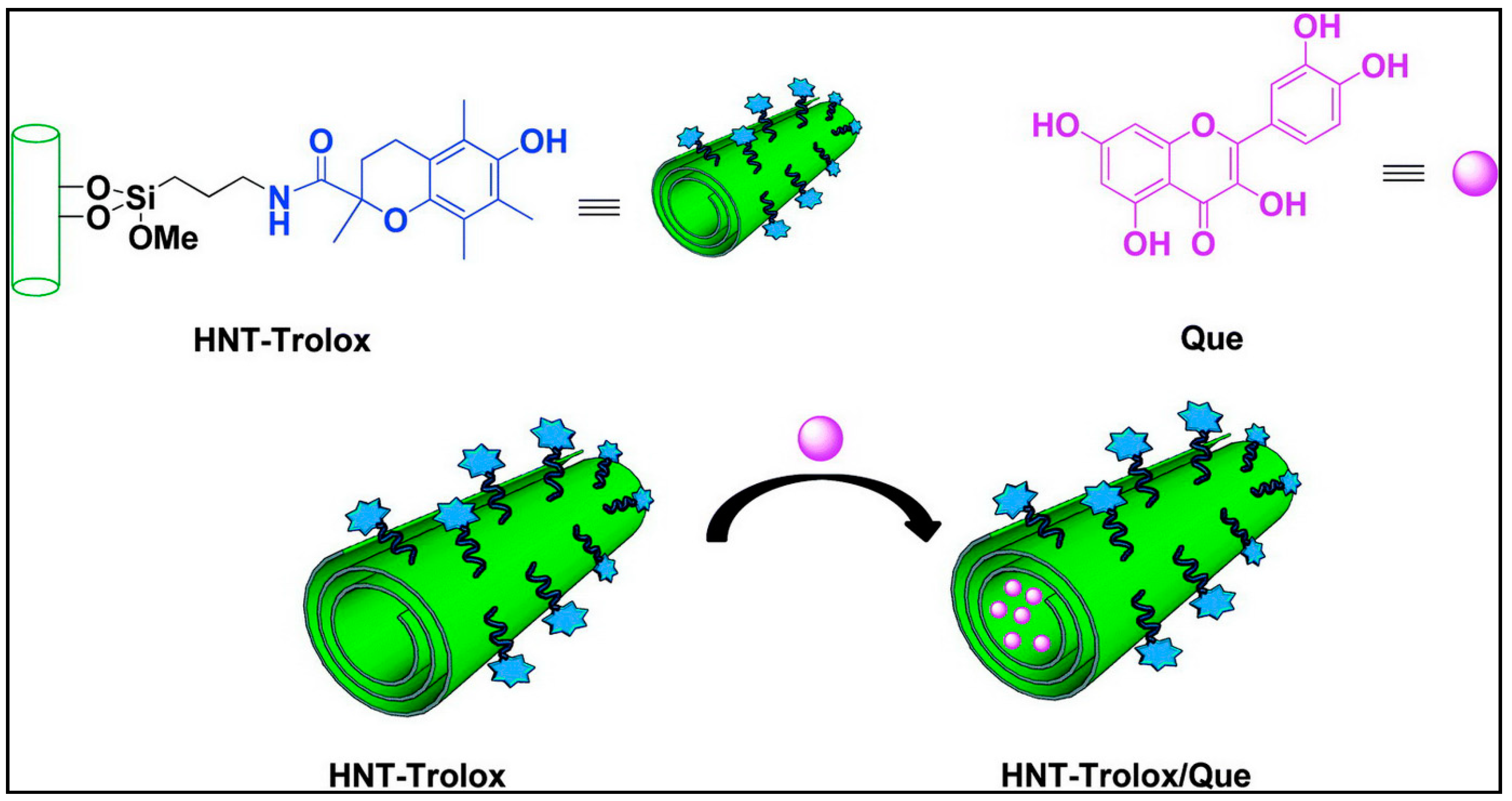 Antioxidants 09 00024 g007