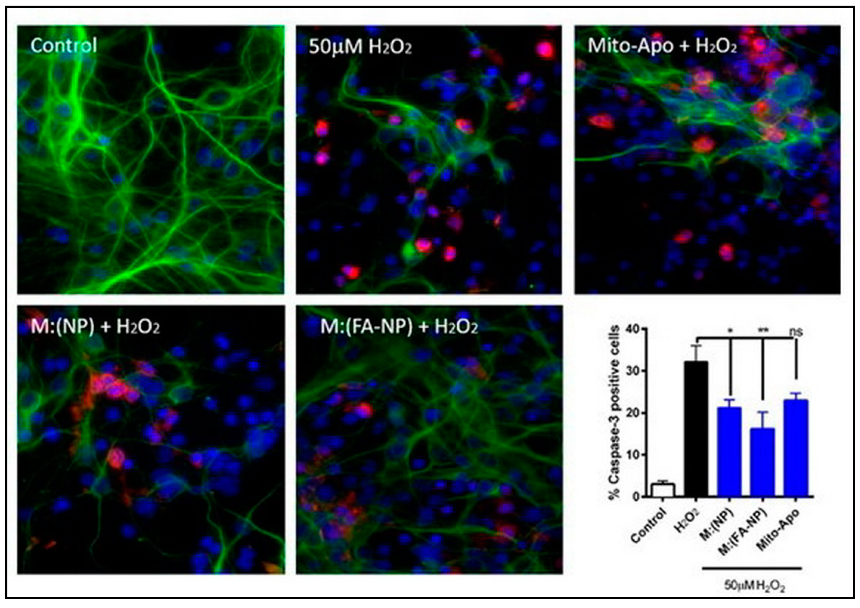 Antioxidants 09 00024 g008