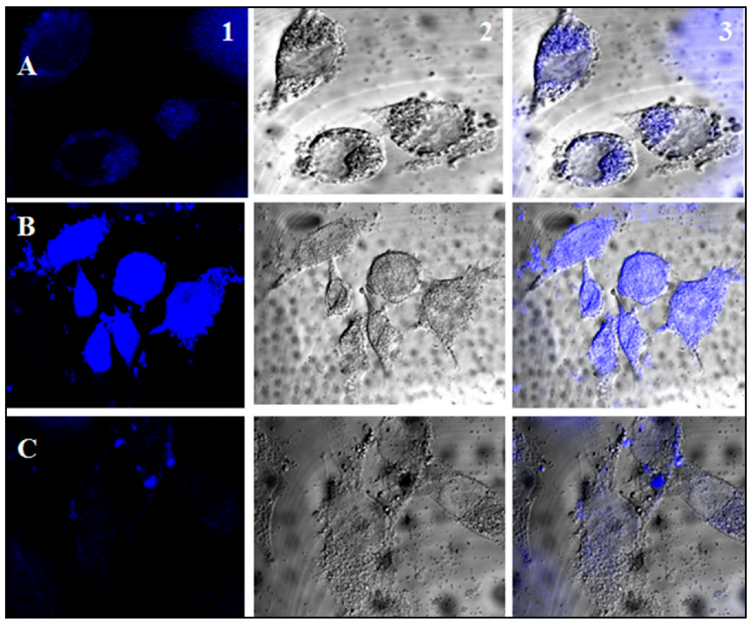 Antioxidants 09 00024 g009