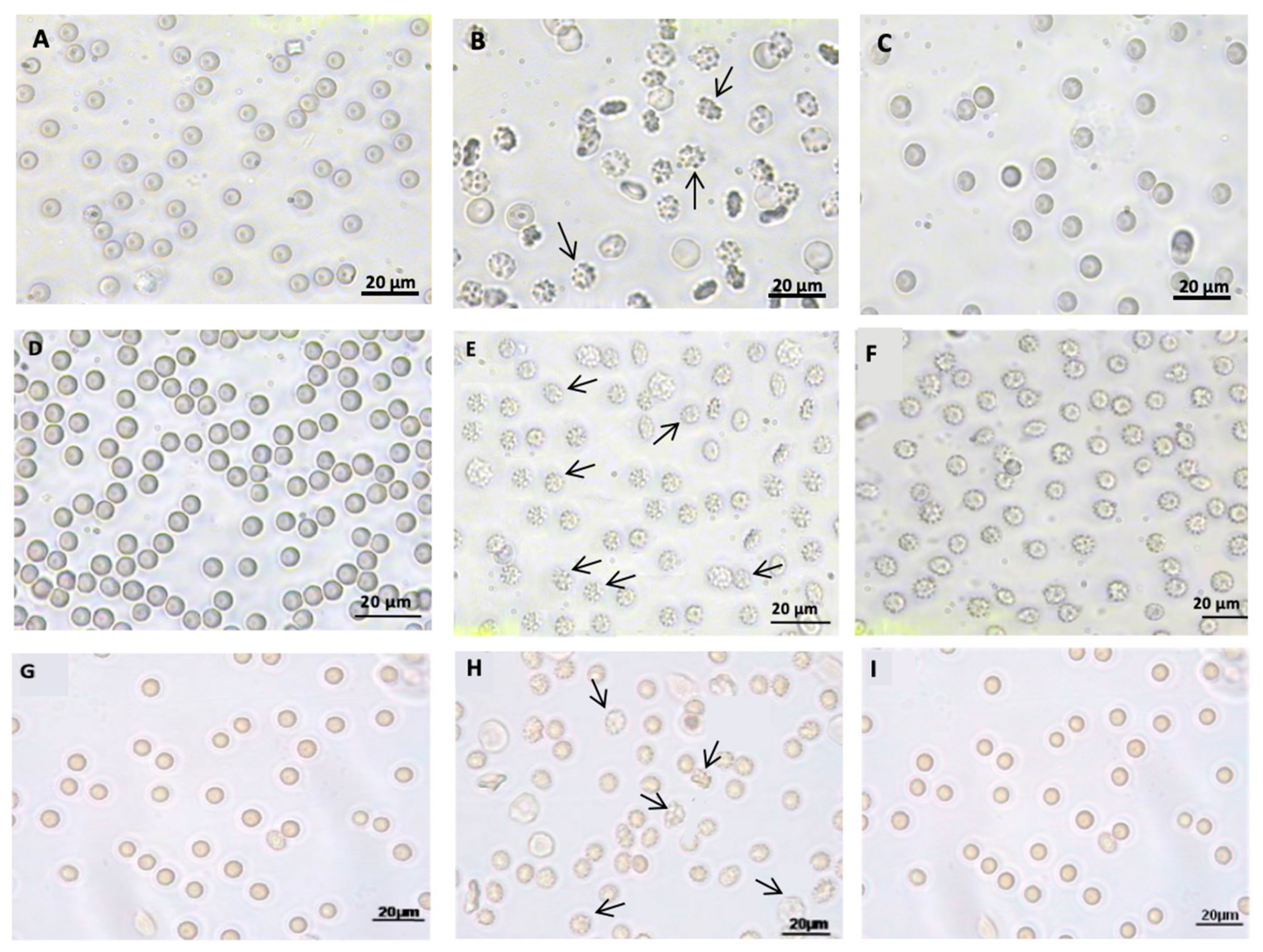 Antioxidants 09 00025 g002