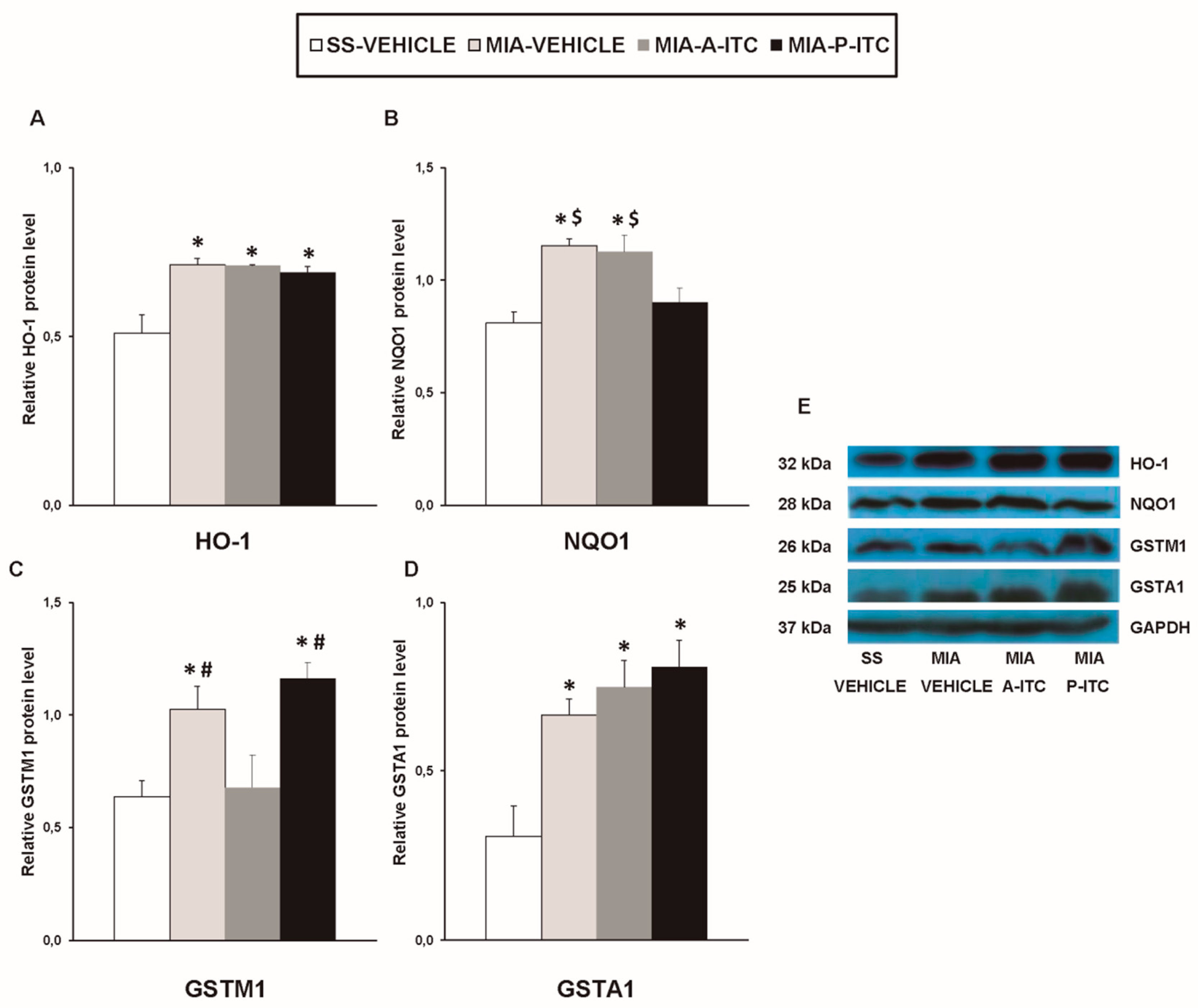 Antioxidants 09 00031 g009 Antioxidants 09 00031 g009