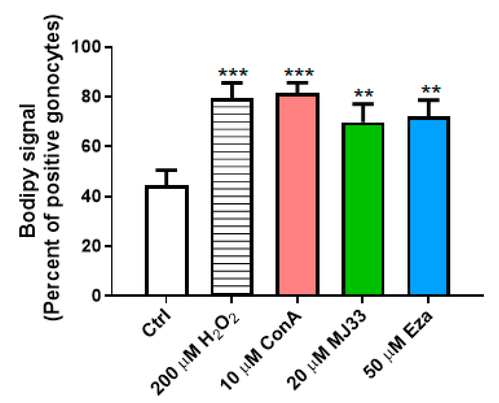 Antioxidants 09 00032 g005 Antioxidants 09 00032 g005