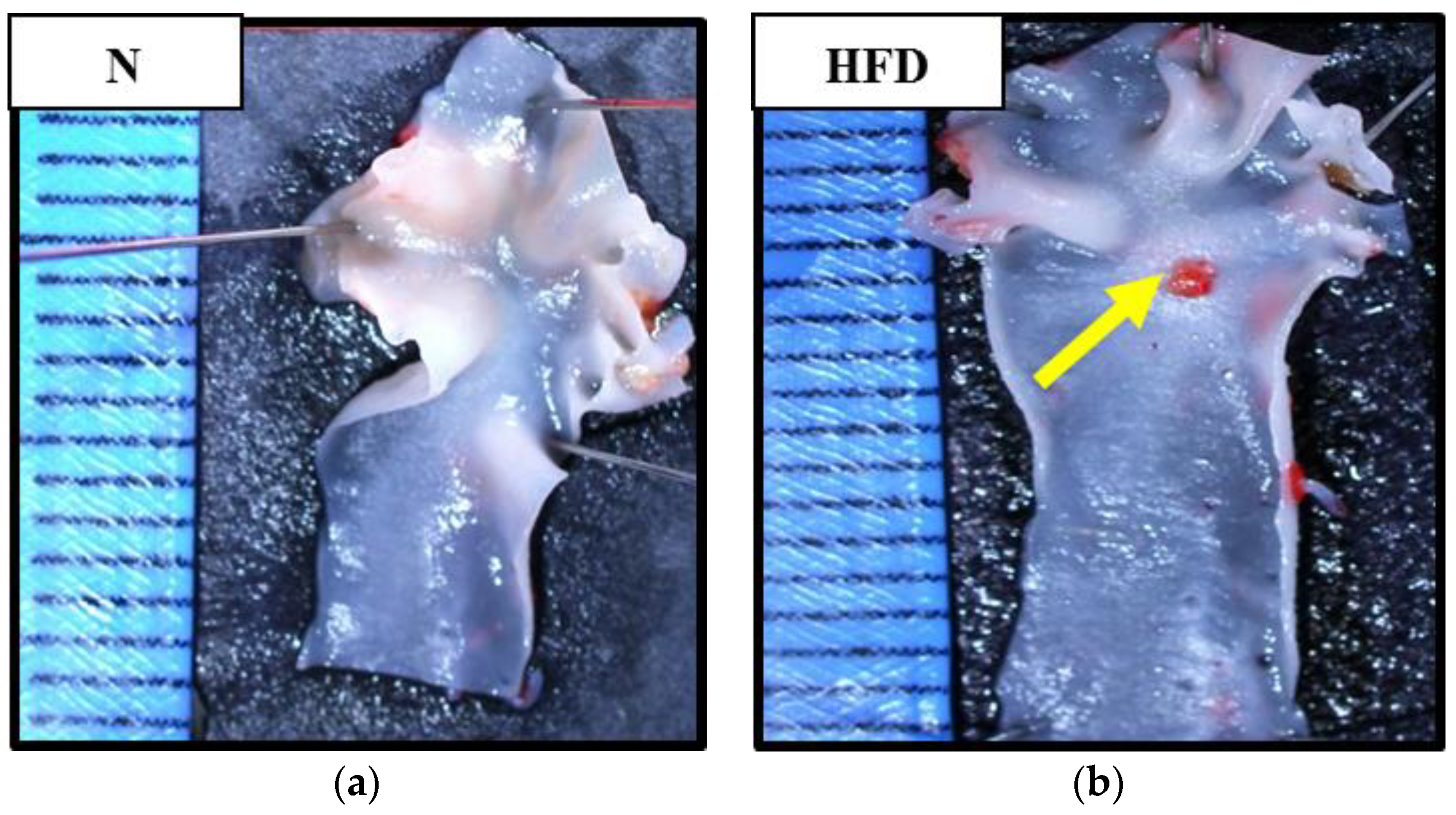Antioxidants 09 00033 g001a