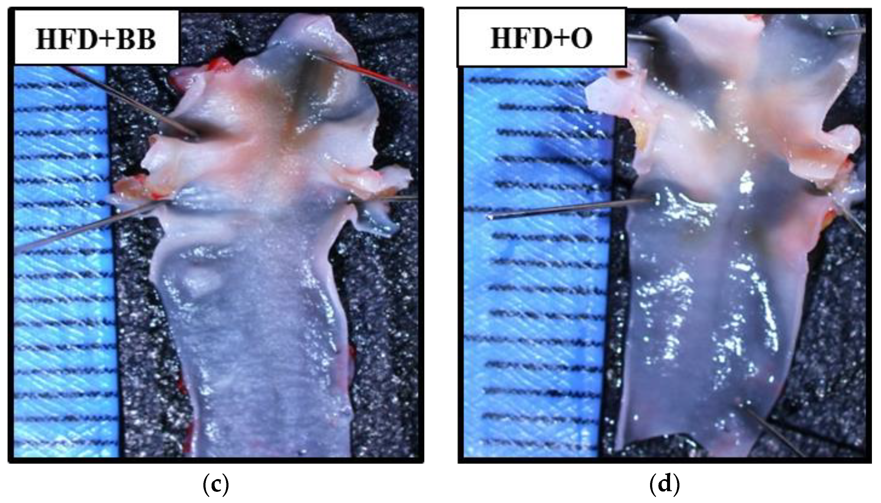 Antioxidants 09 00033 g001b