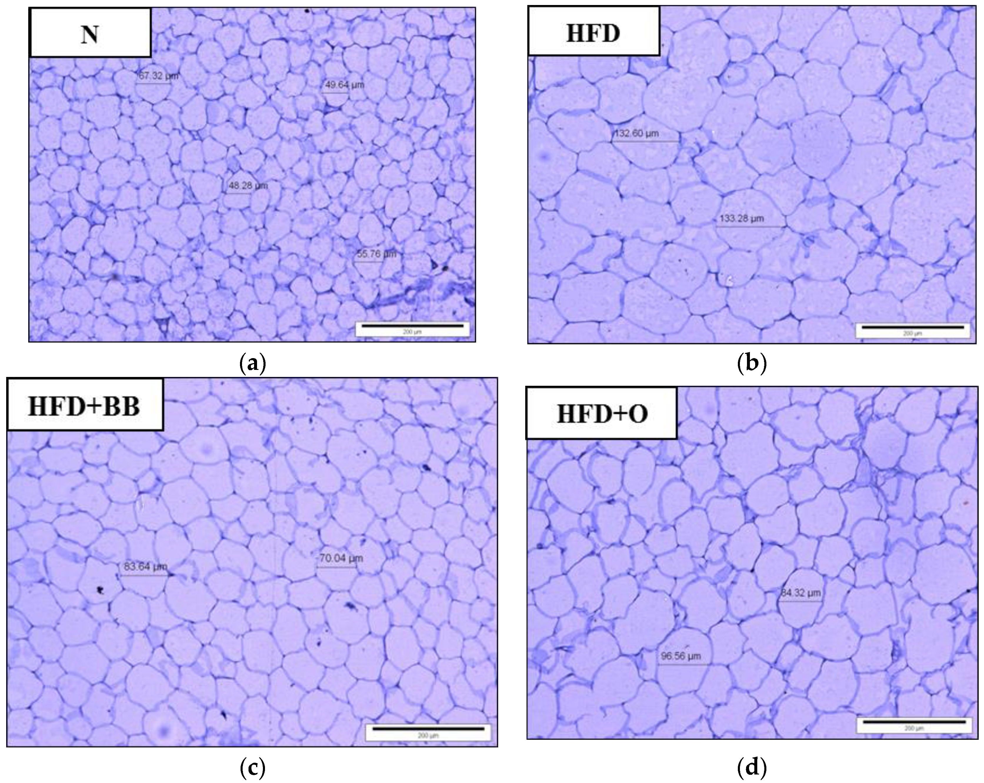 Antioxidants 09 00033 g002