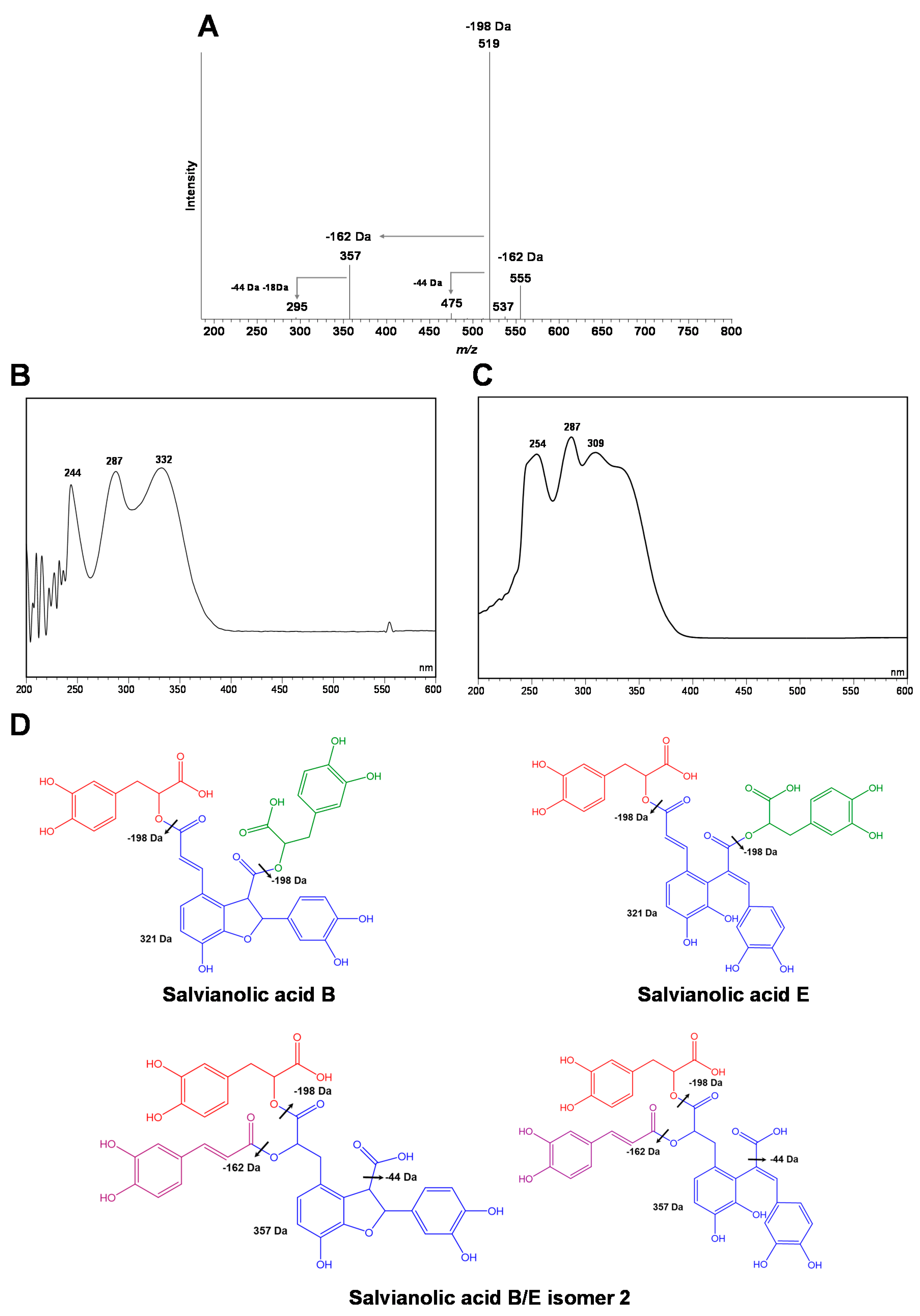 Antioxidants 09 00034 g002