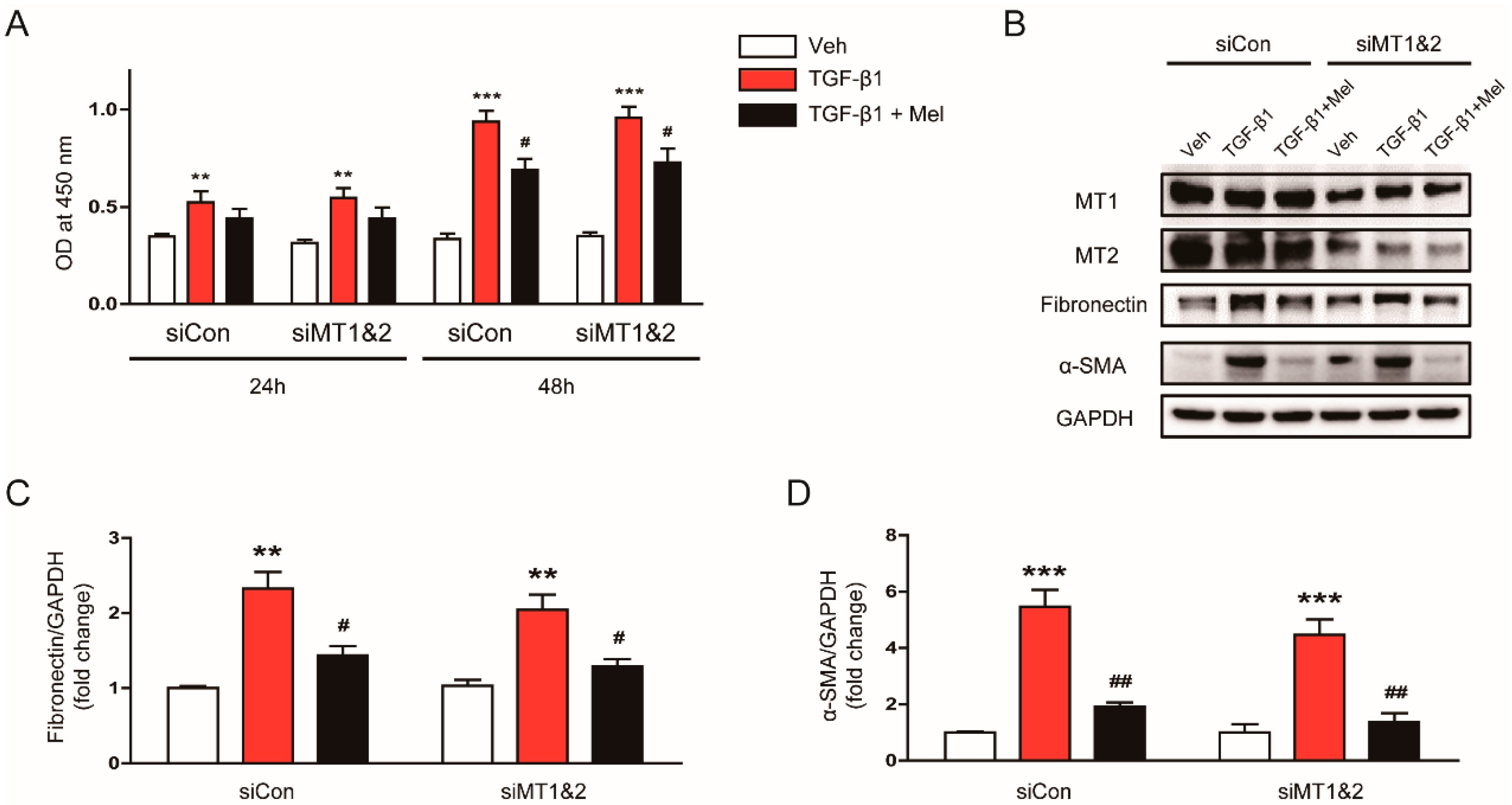 Antioxidants 09 00039 g005