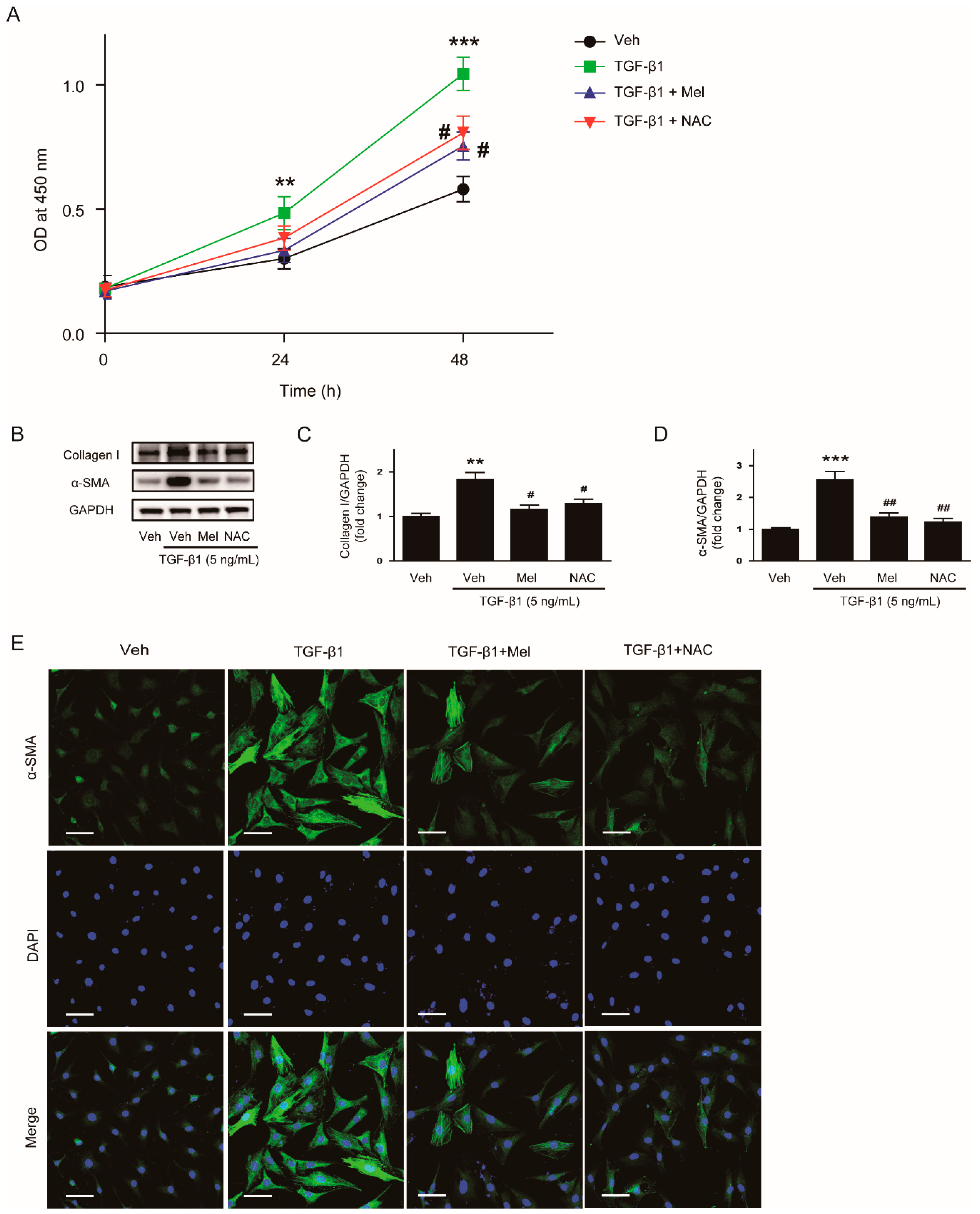 Antioxidants 09 00039 g007