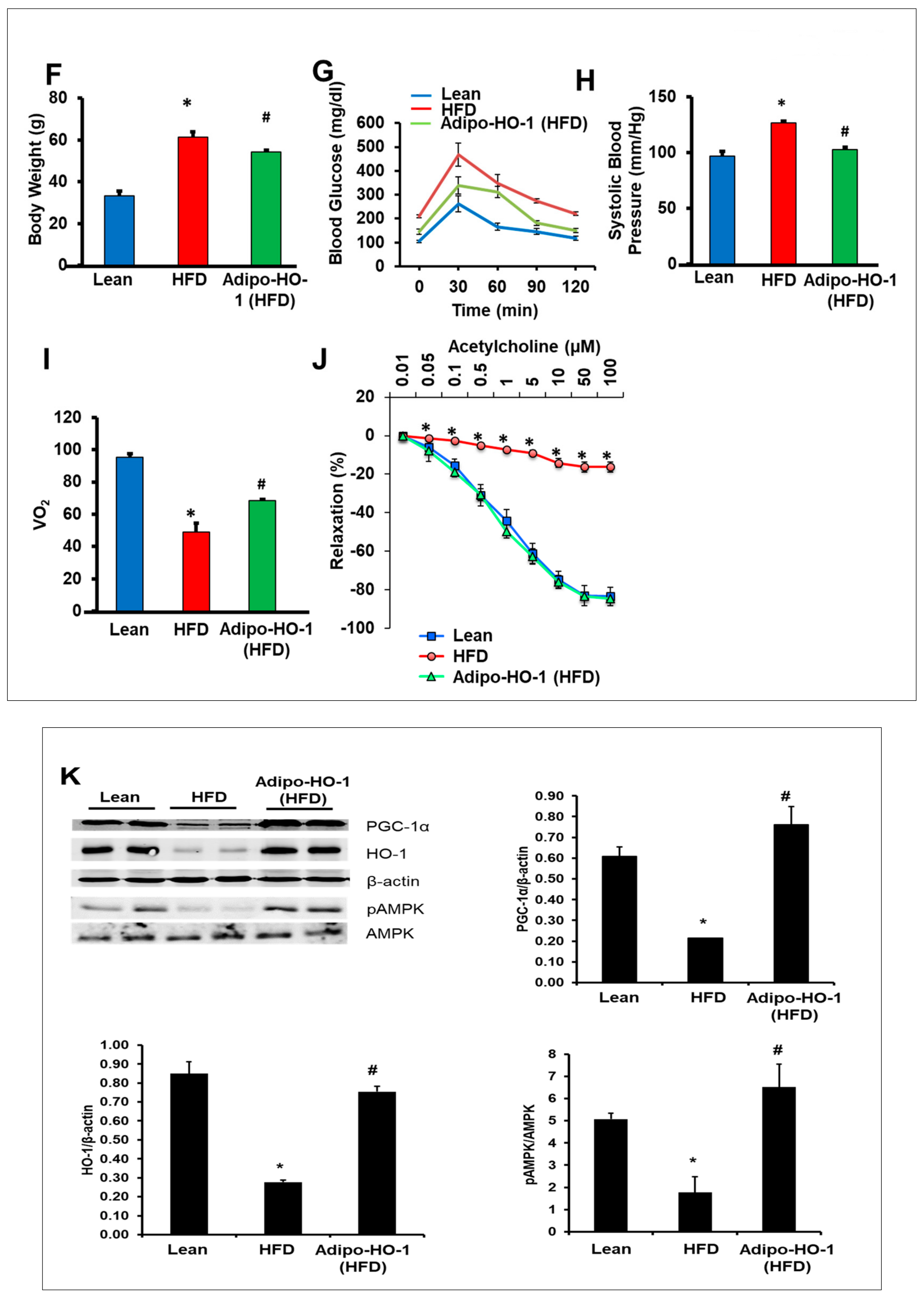 Antioxidants 09 00040 g001b Antioxidants 09 00040 g001b