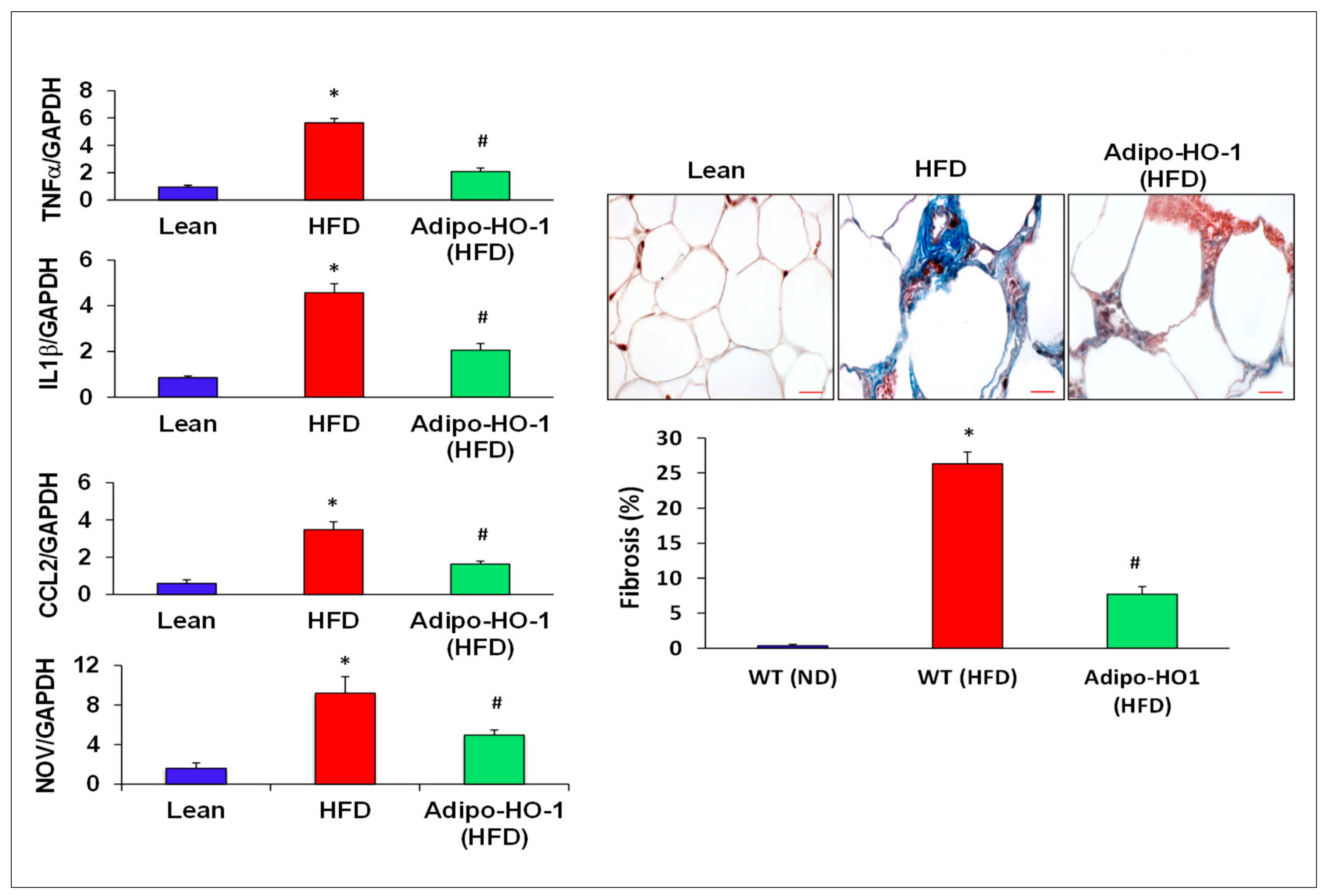 Antioxidants 09 00040 g005 Antioxidants 09 00040 g005