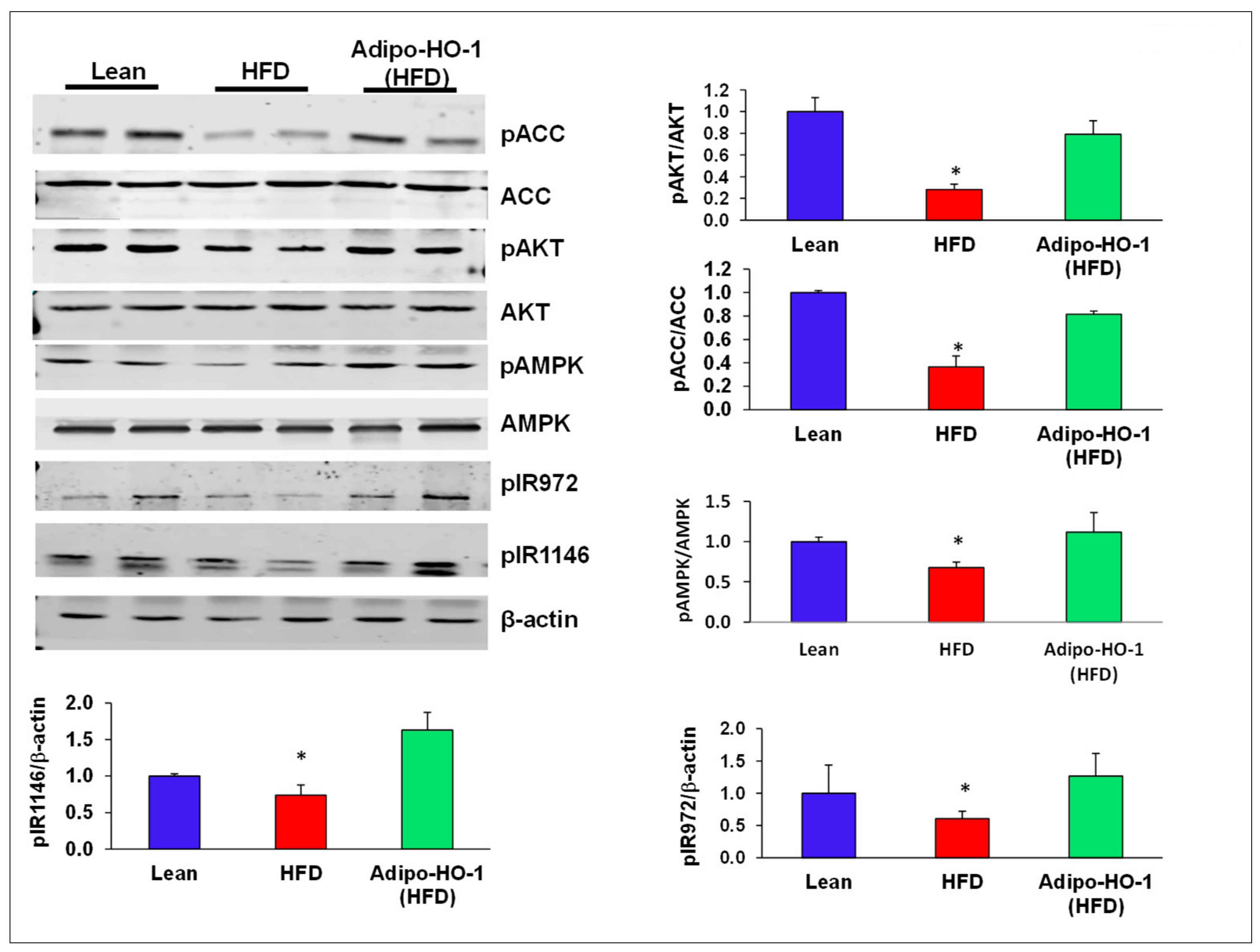 Antioxidants 09 00040 g006 Antioxidants 09 00040 g006