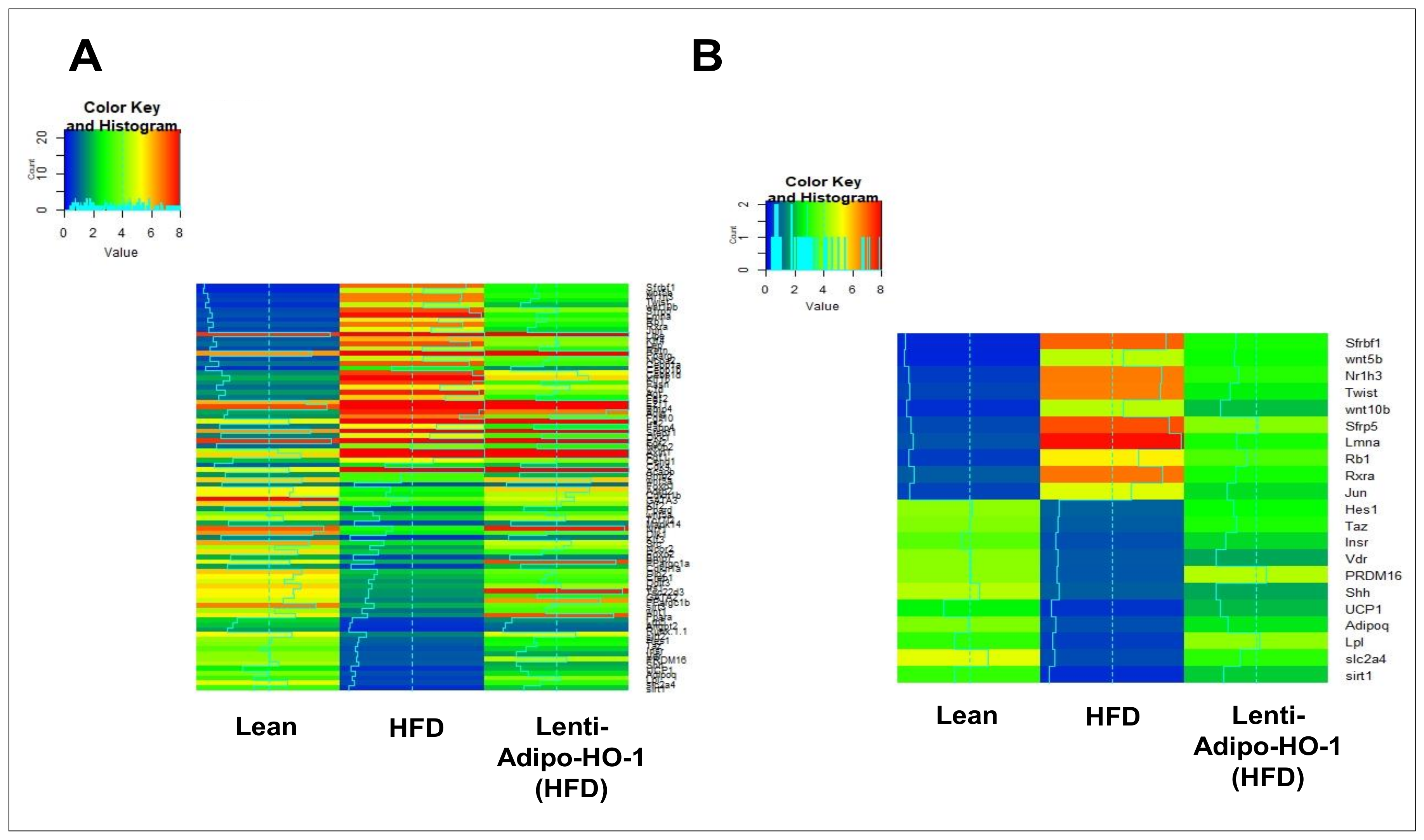 Antioxidants 09 00040 g009 Antioxidants 09 00040 g009