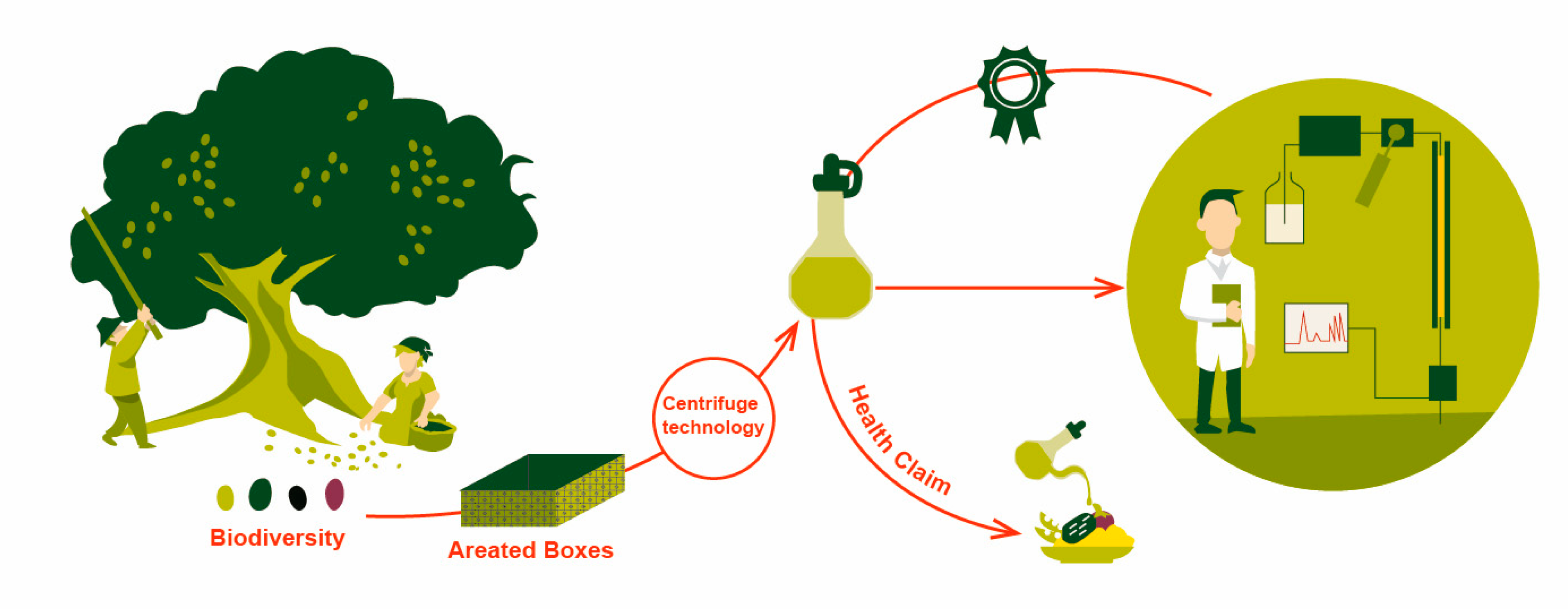 Antioxidants 09 00041 g004