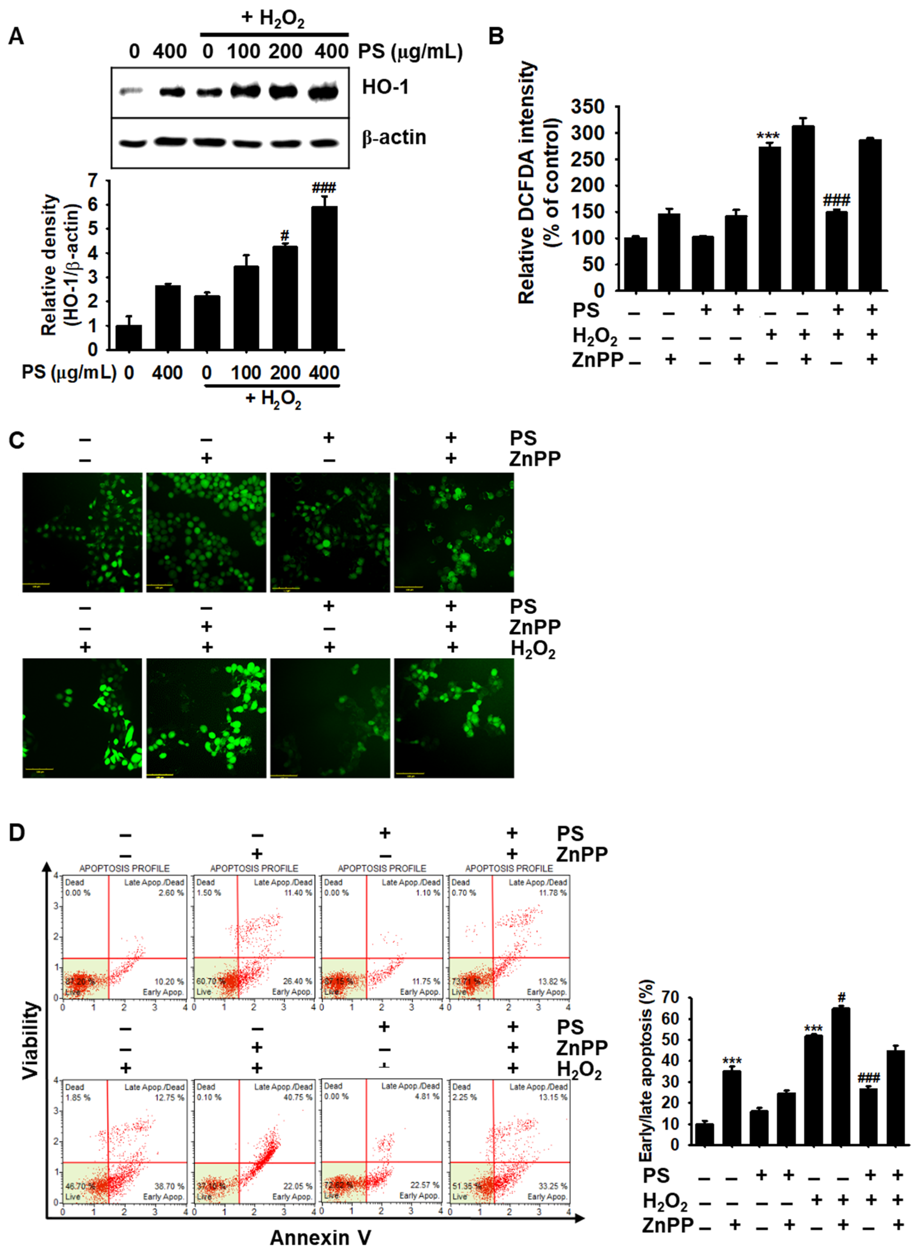 Antioxidants 09 00042 g007