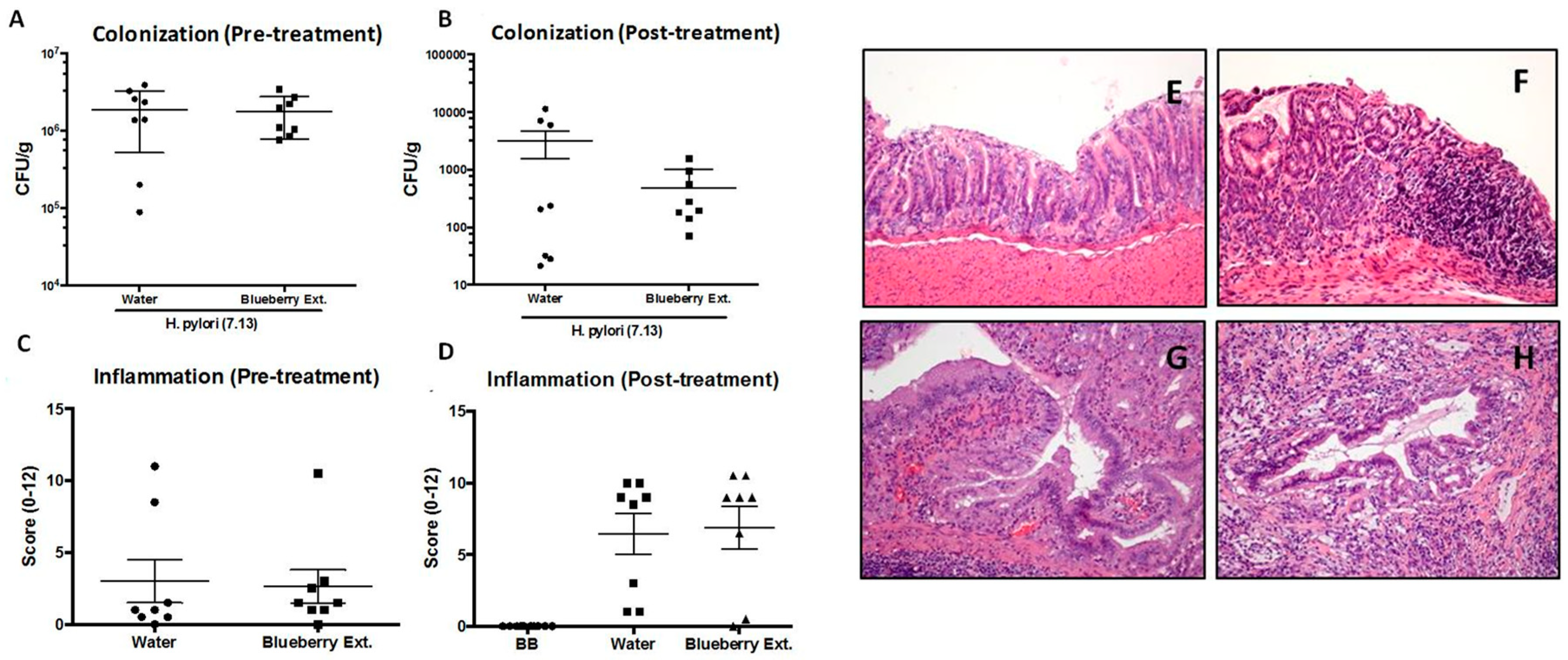 Antioxidants 09 00045 g005