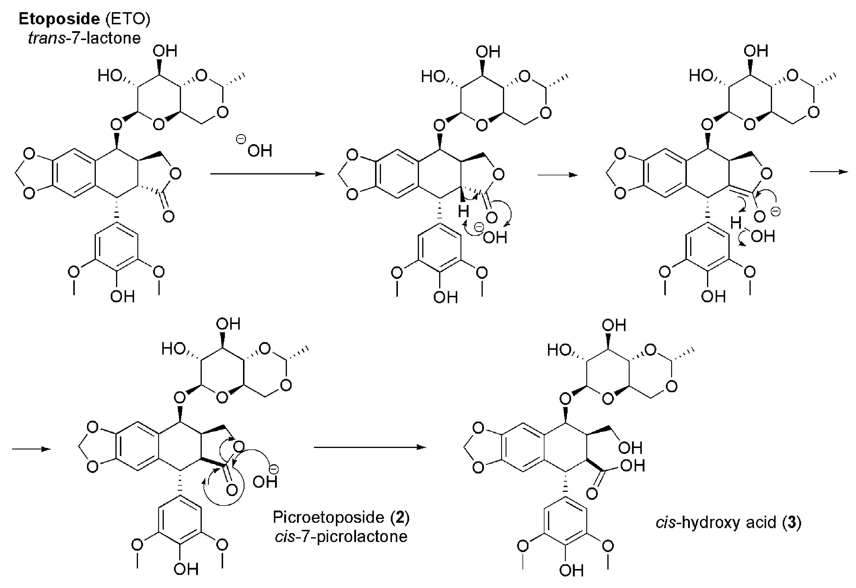 Antioxidants 09 00050 g003