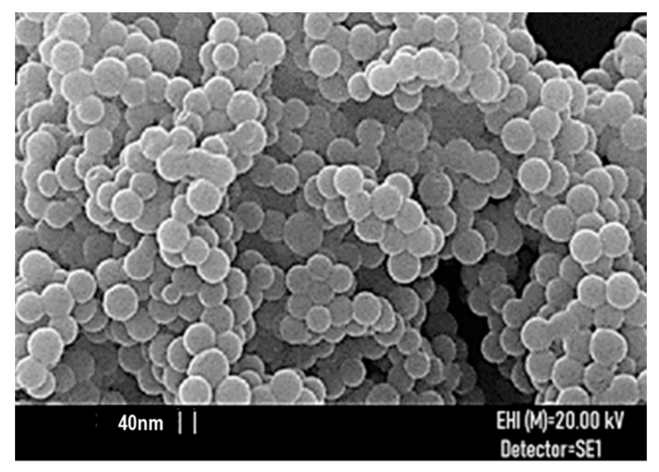 Antioxidants 09 00050 g006