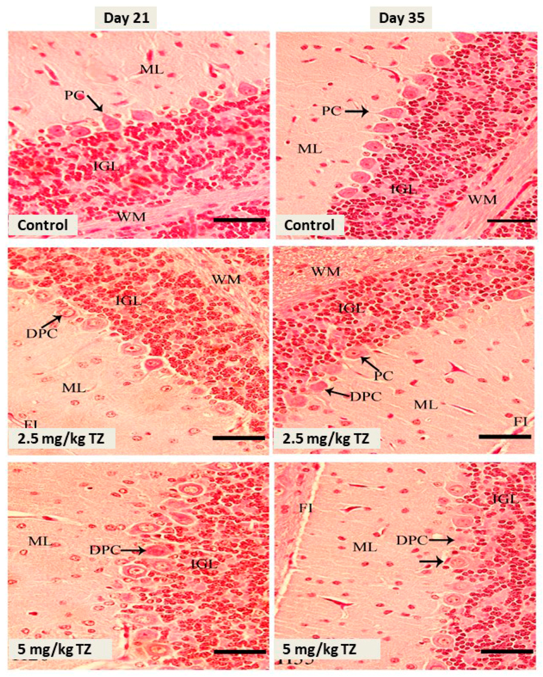 Antioxidants 09 00053 g002